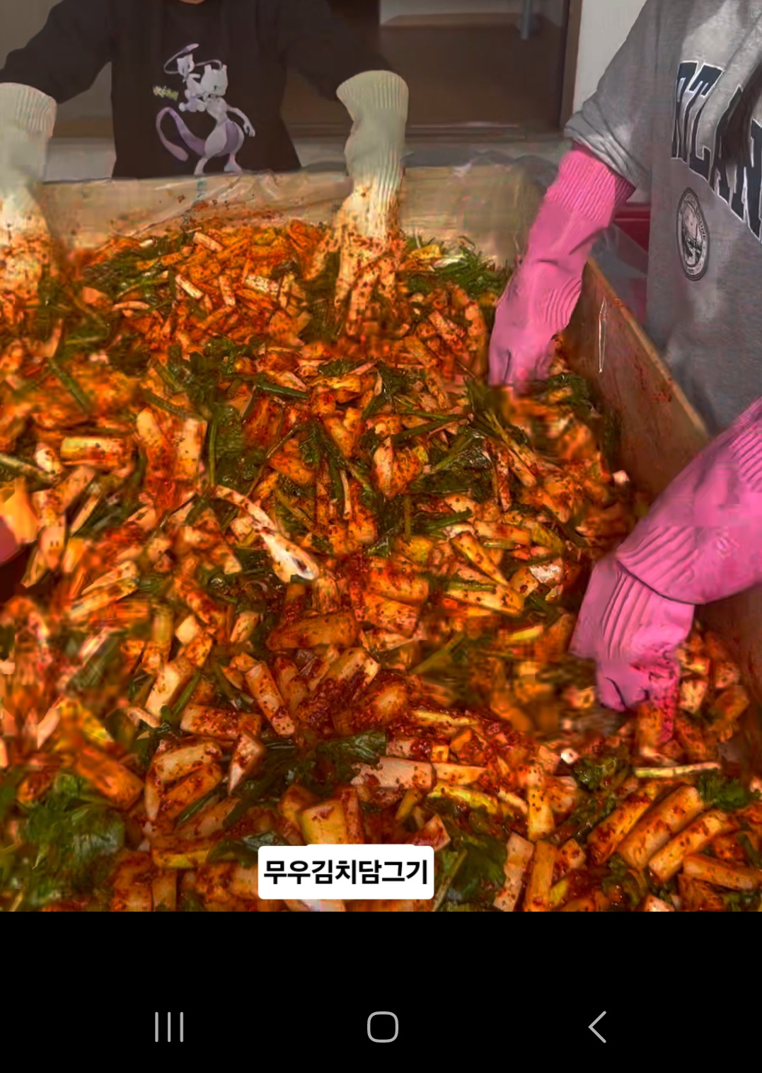 시골손칼국수