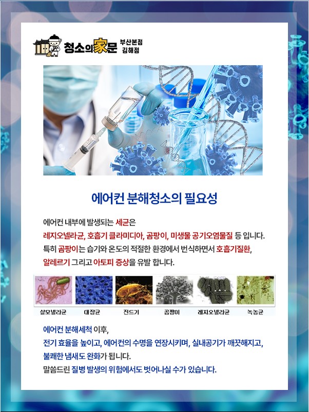 청소의가문