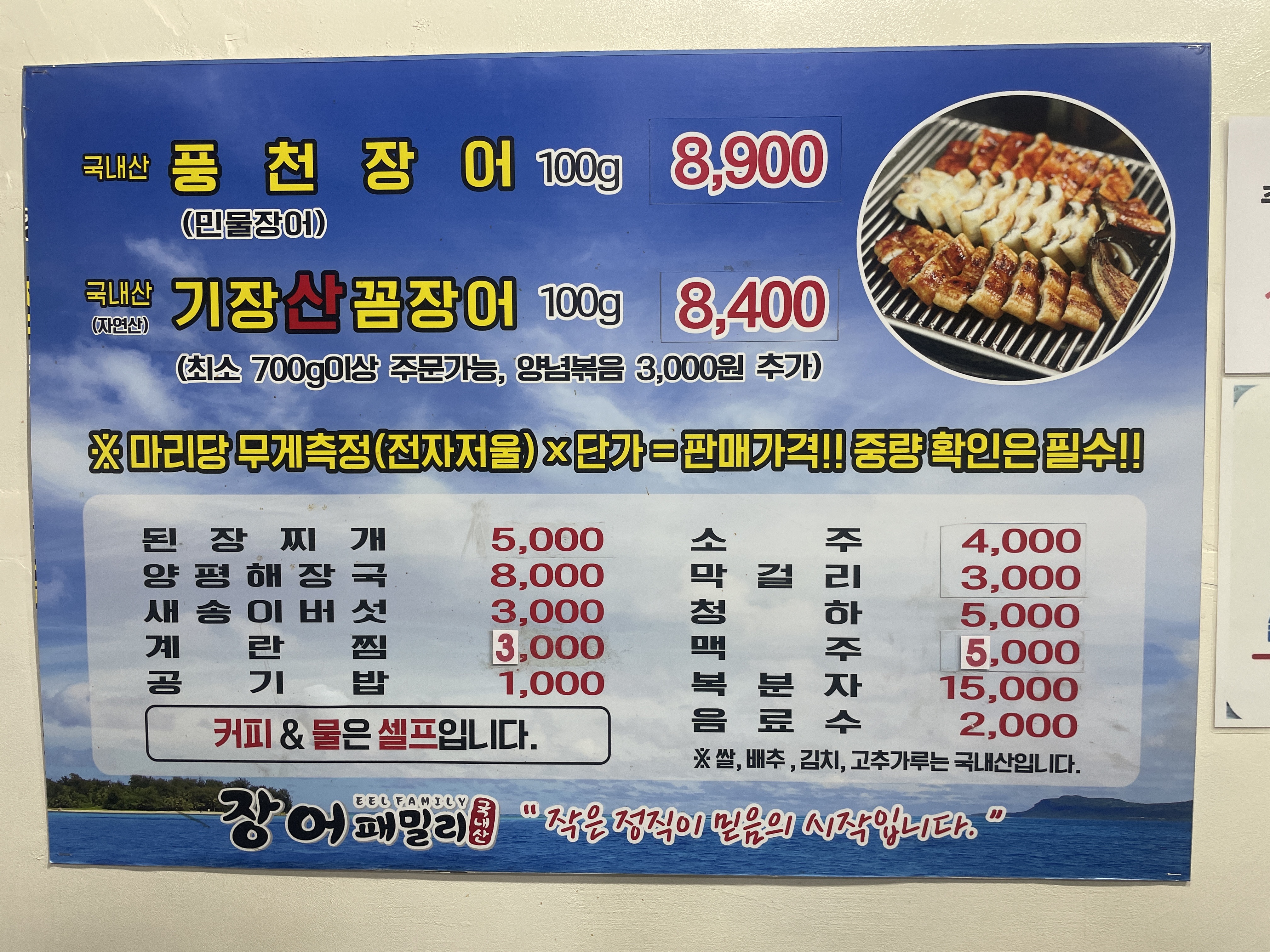장어 패밀리