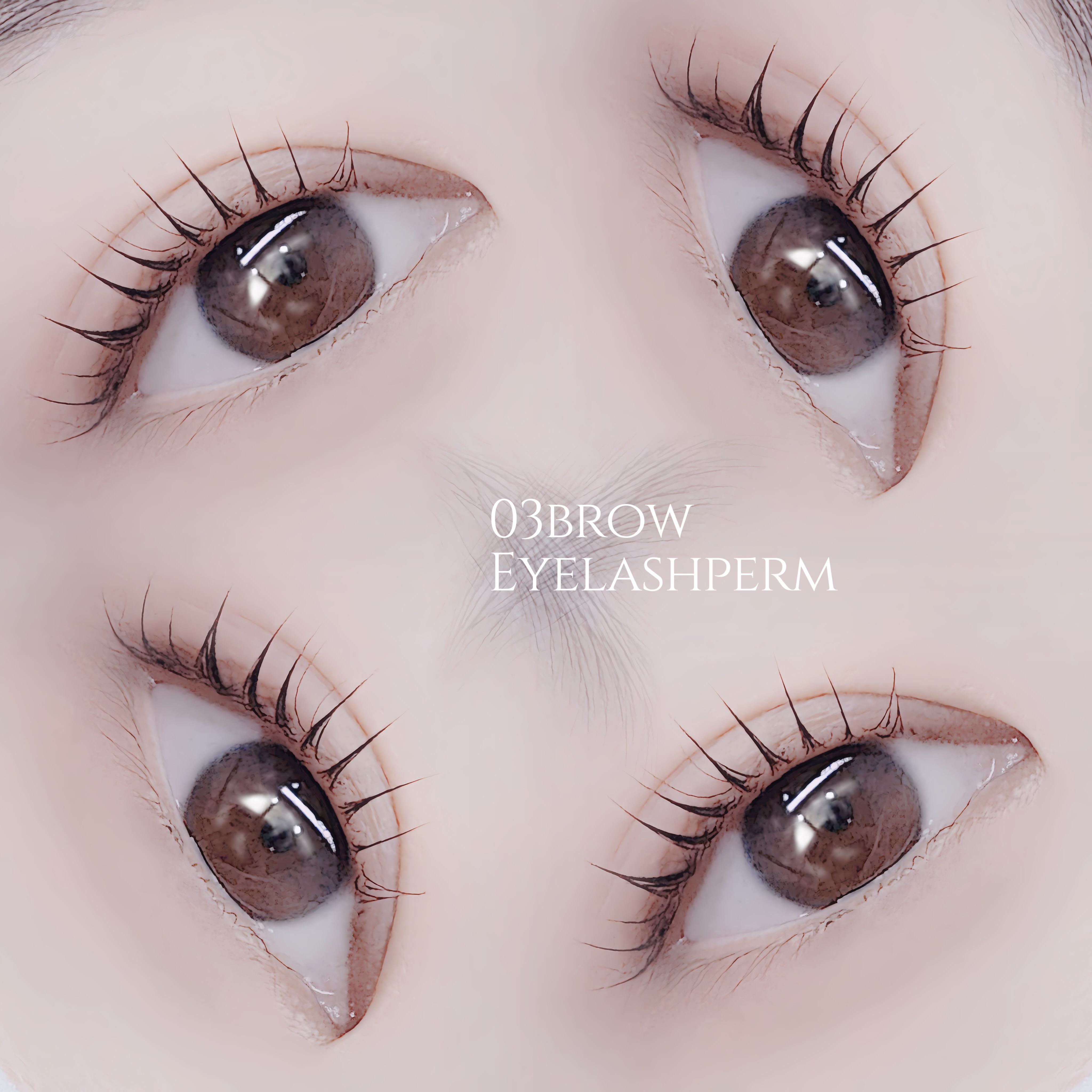 03brow 대표 이미지