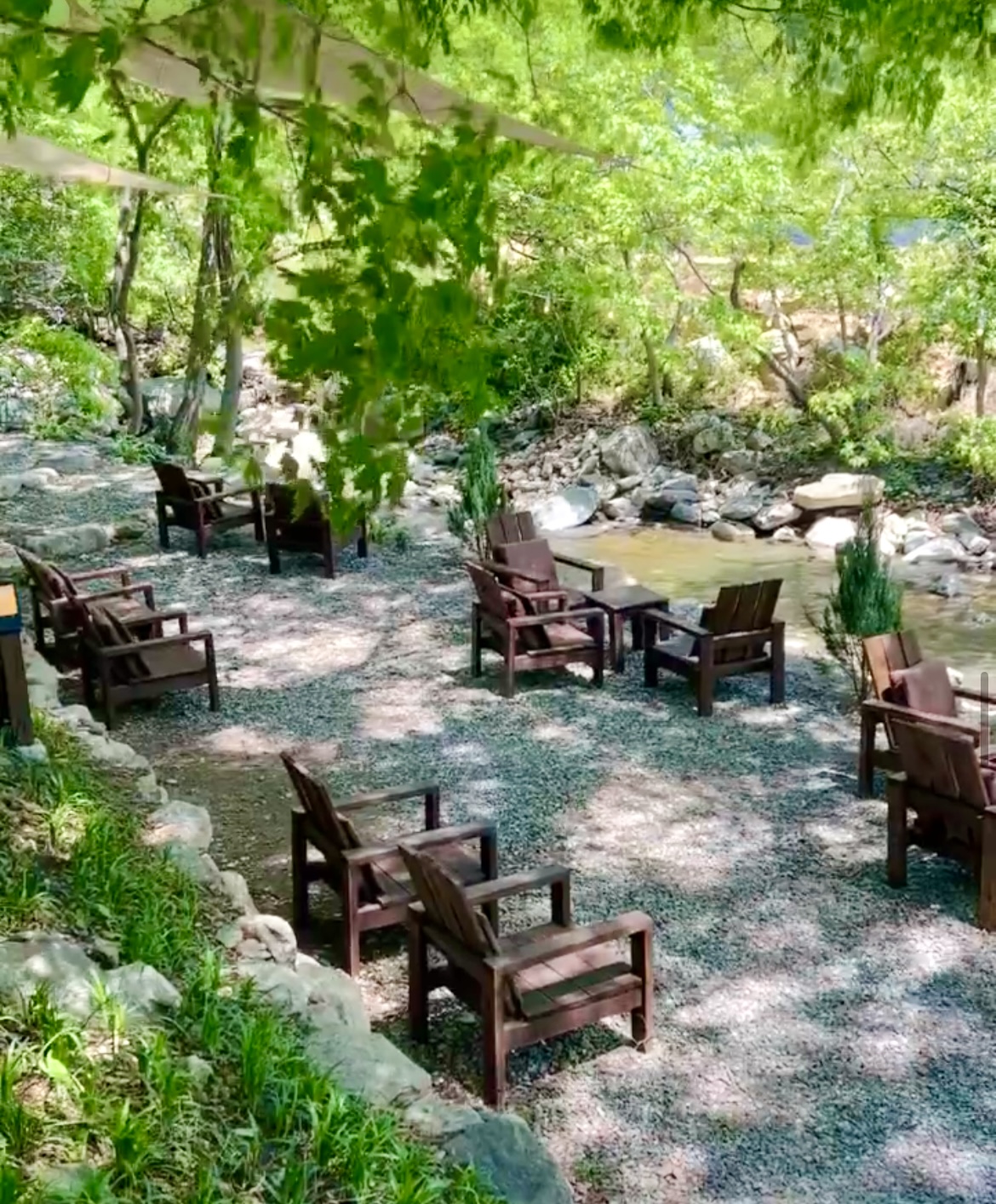 리틀포레 경기 애견맛집