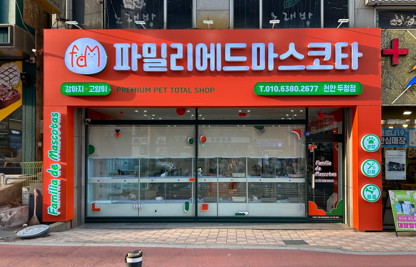 파밀리에드마스코타 천안두정점 천안강아지분양천안고양이분양