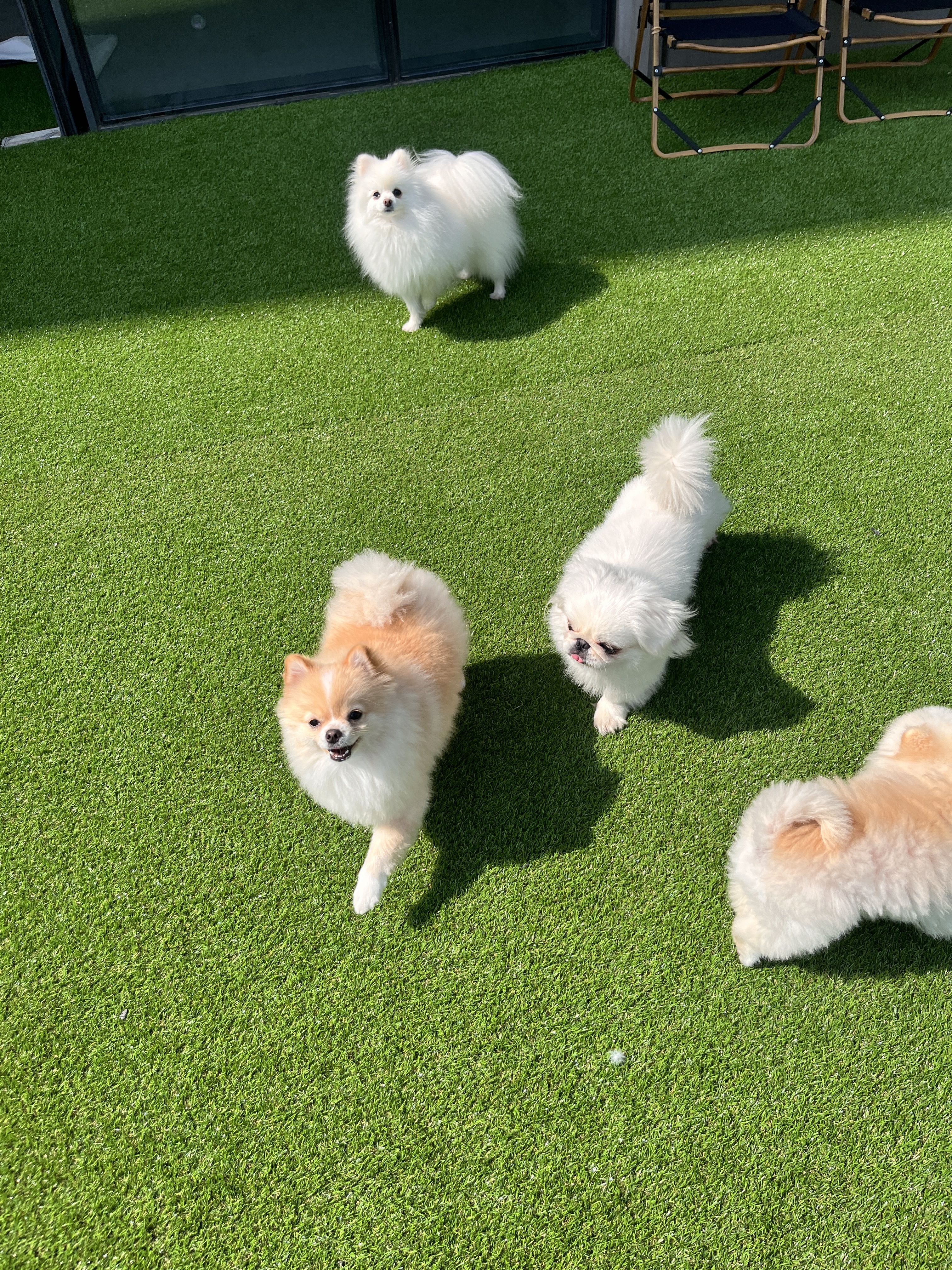 댕글댕글유치원