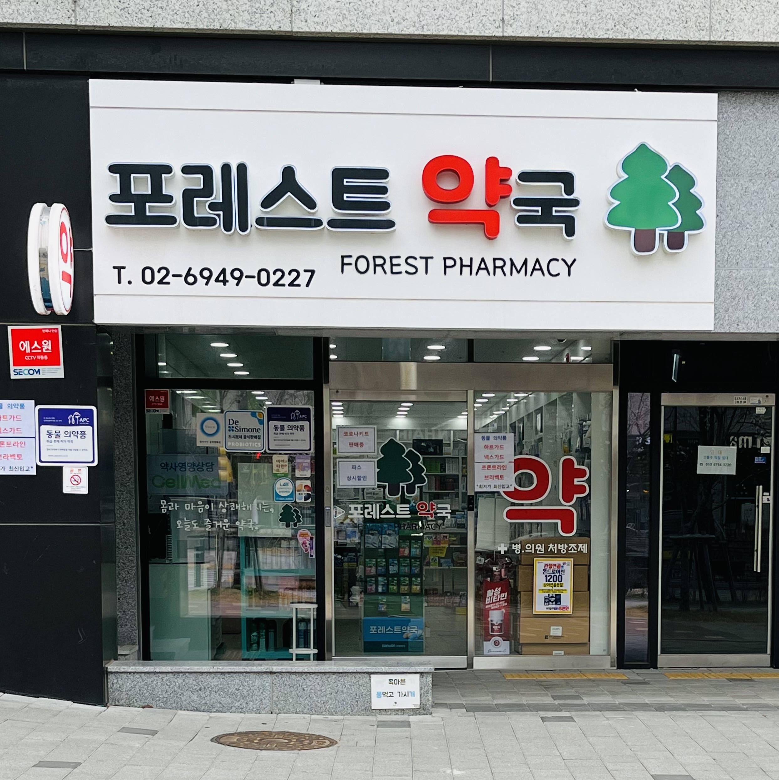 포레스트약국