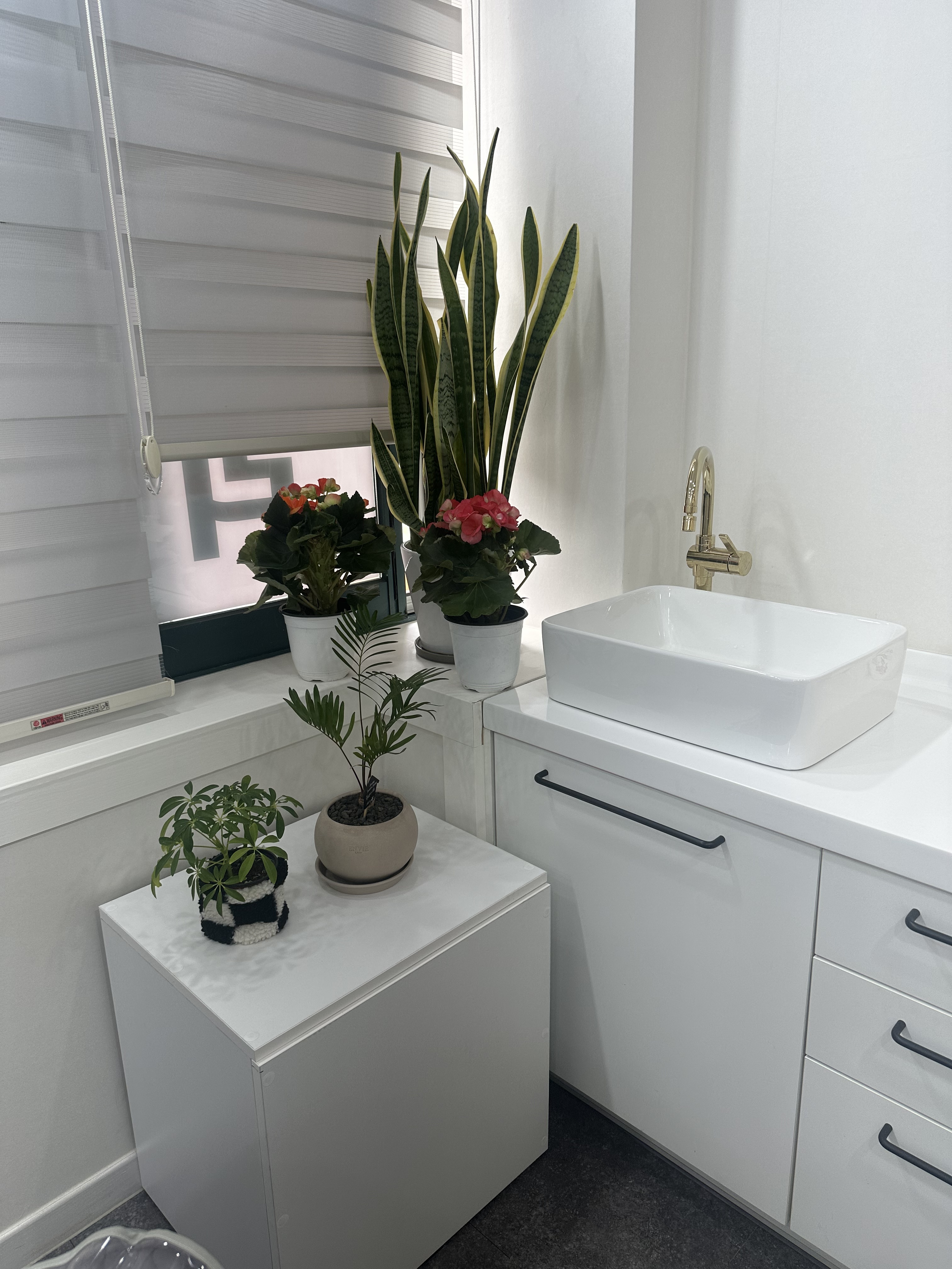 올가드림뷰티 유성1호점 대표 이미지