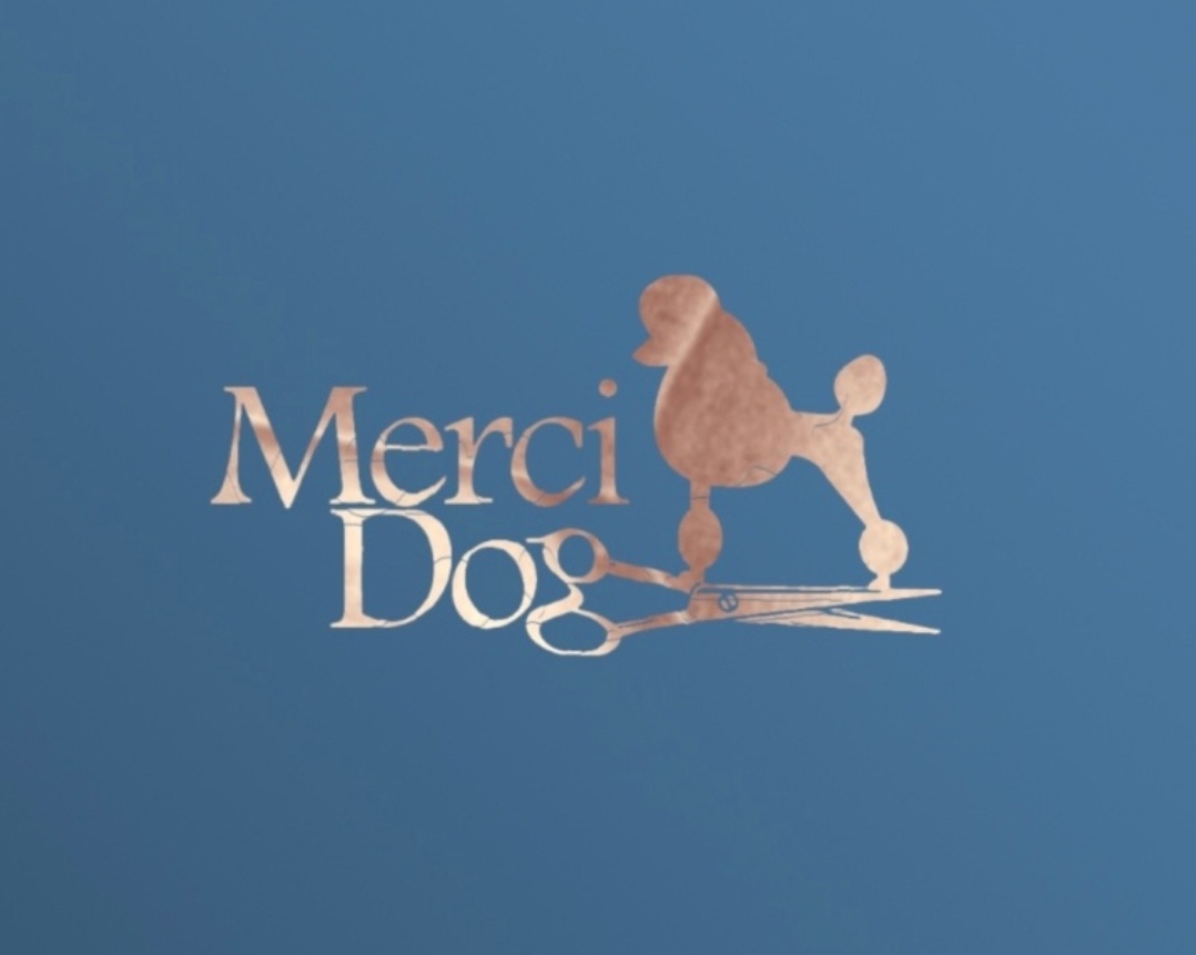 메르시독 대표 이미지