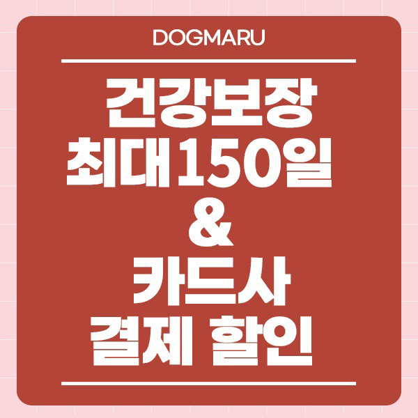 도그마루 강아지고양이 대전점