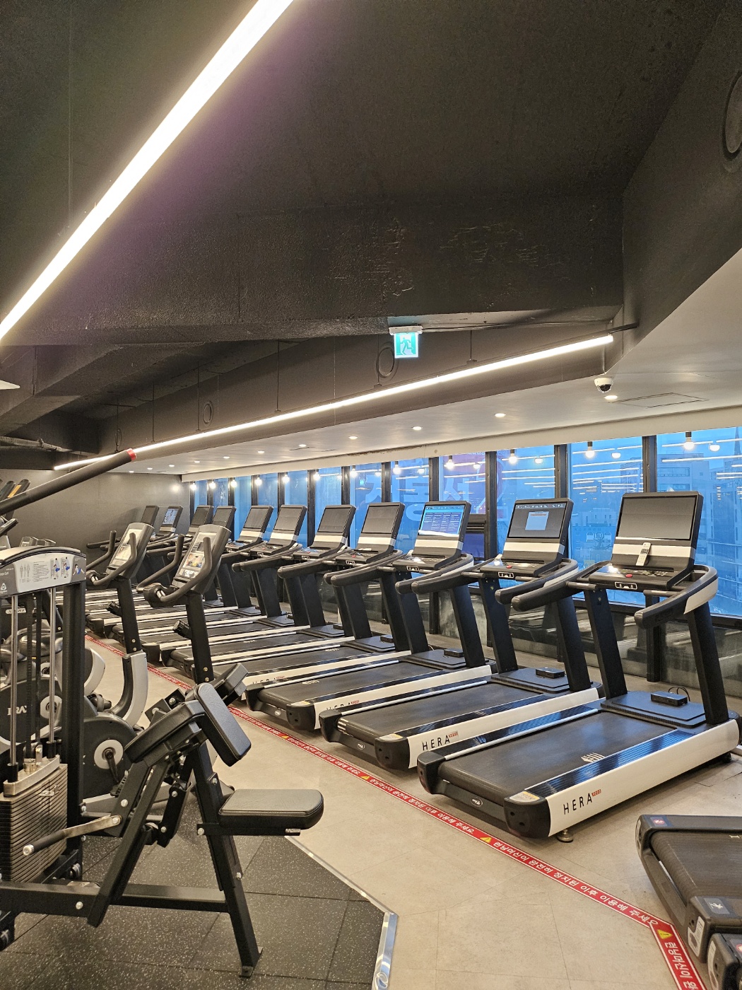 짐고잉 대표 이미지