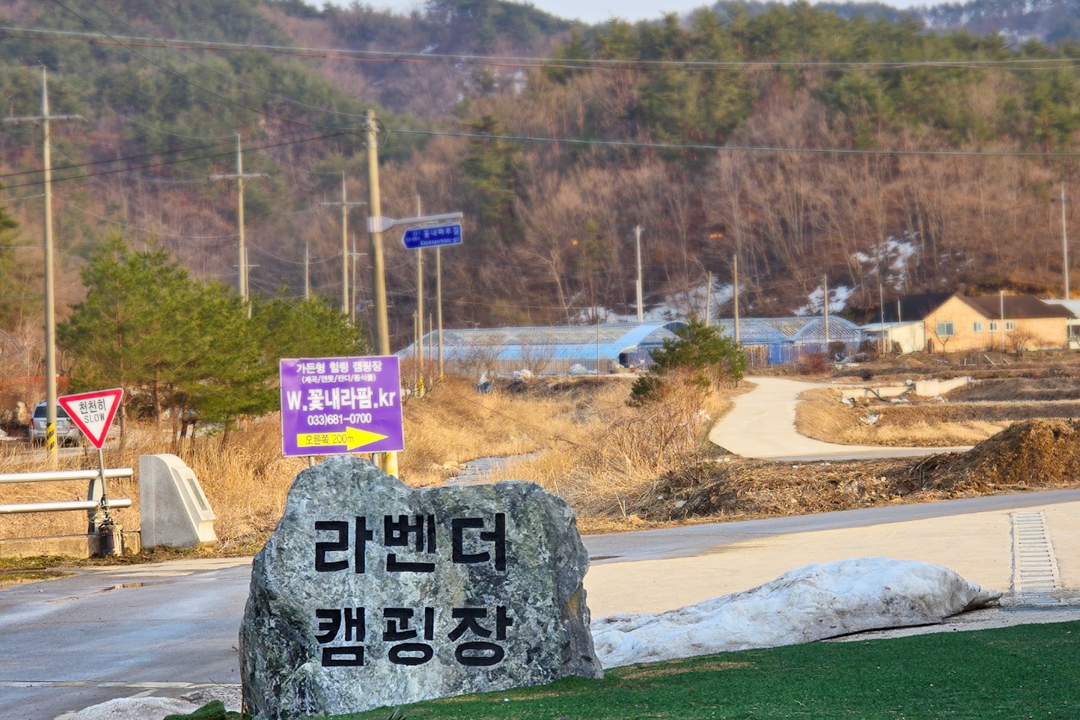 고성라벤더캠핑장