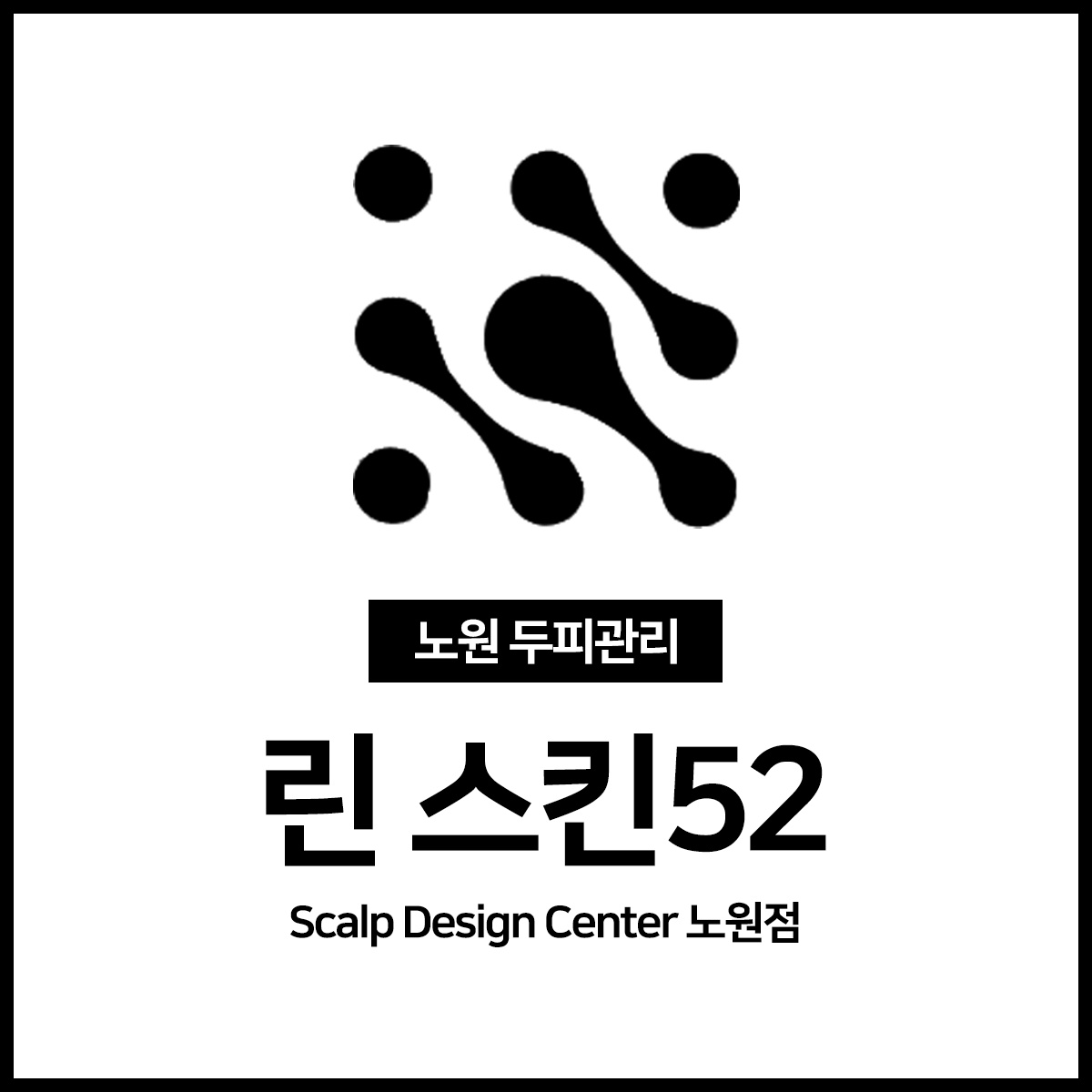 린 스킨52 대표 이미지