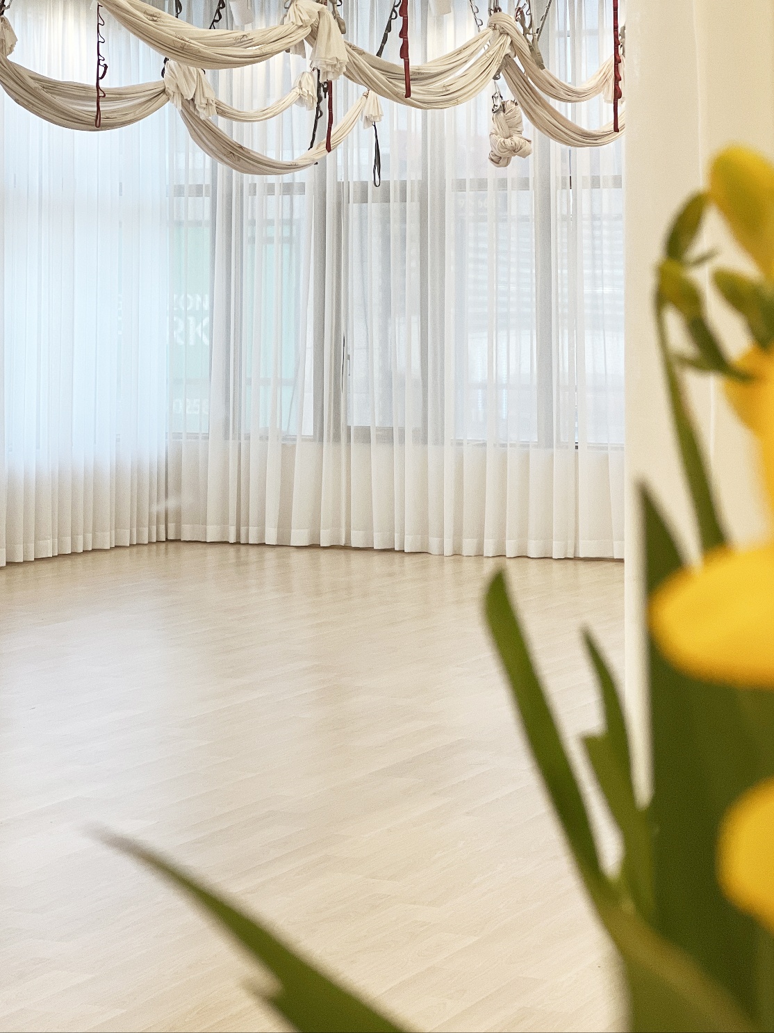 선샤인요가앤번지 대표 이미지