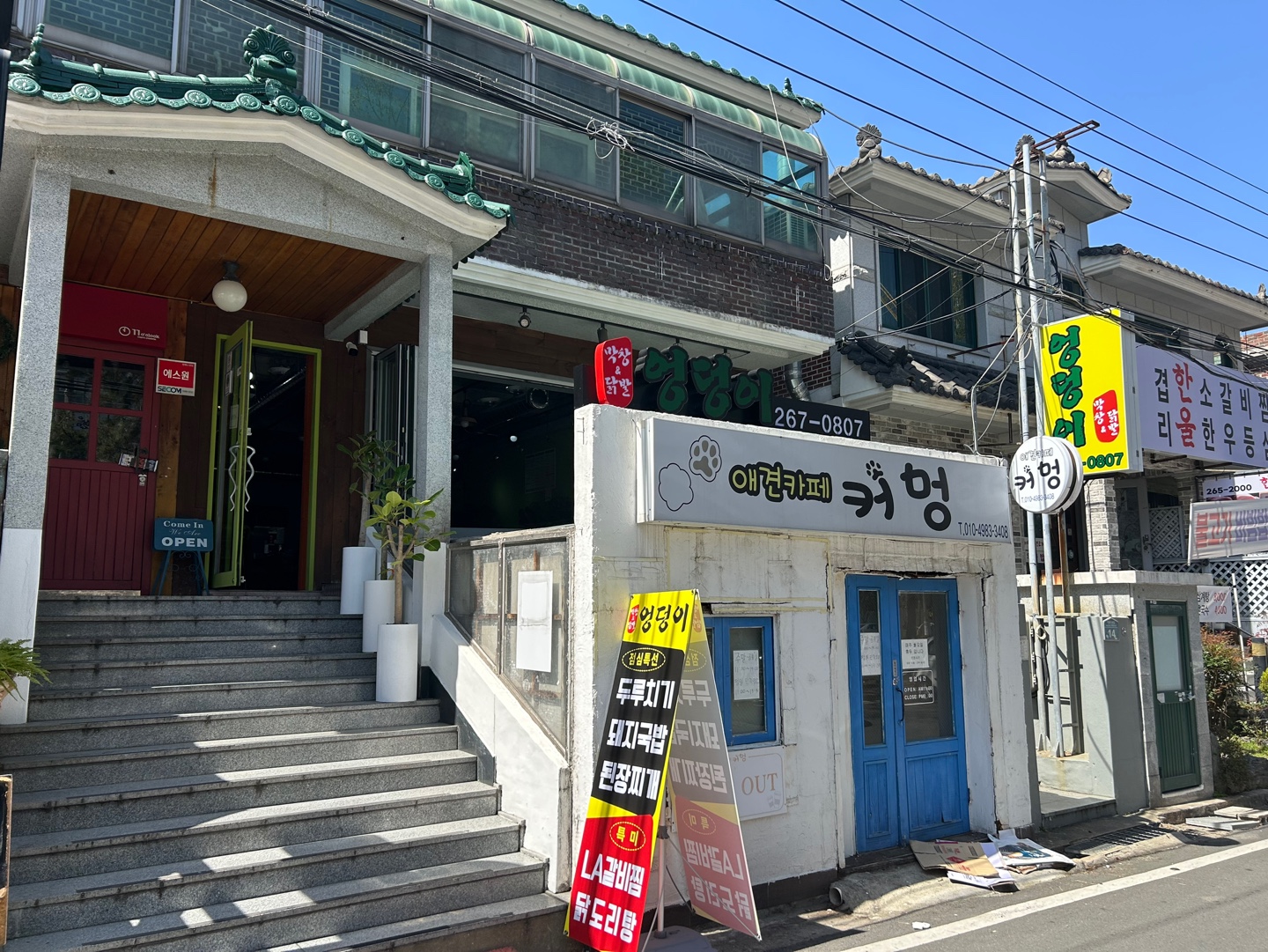 엉덩이막창