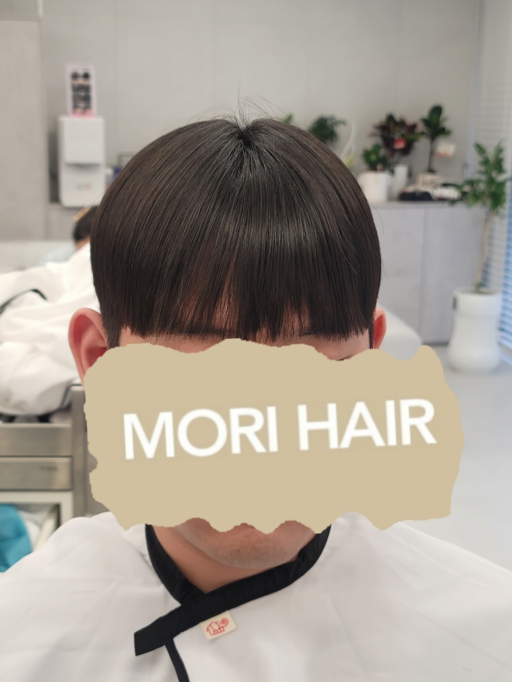 모리헤어