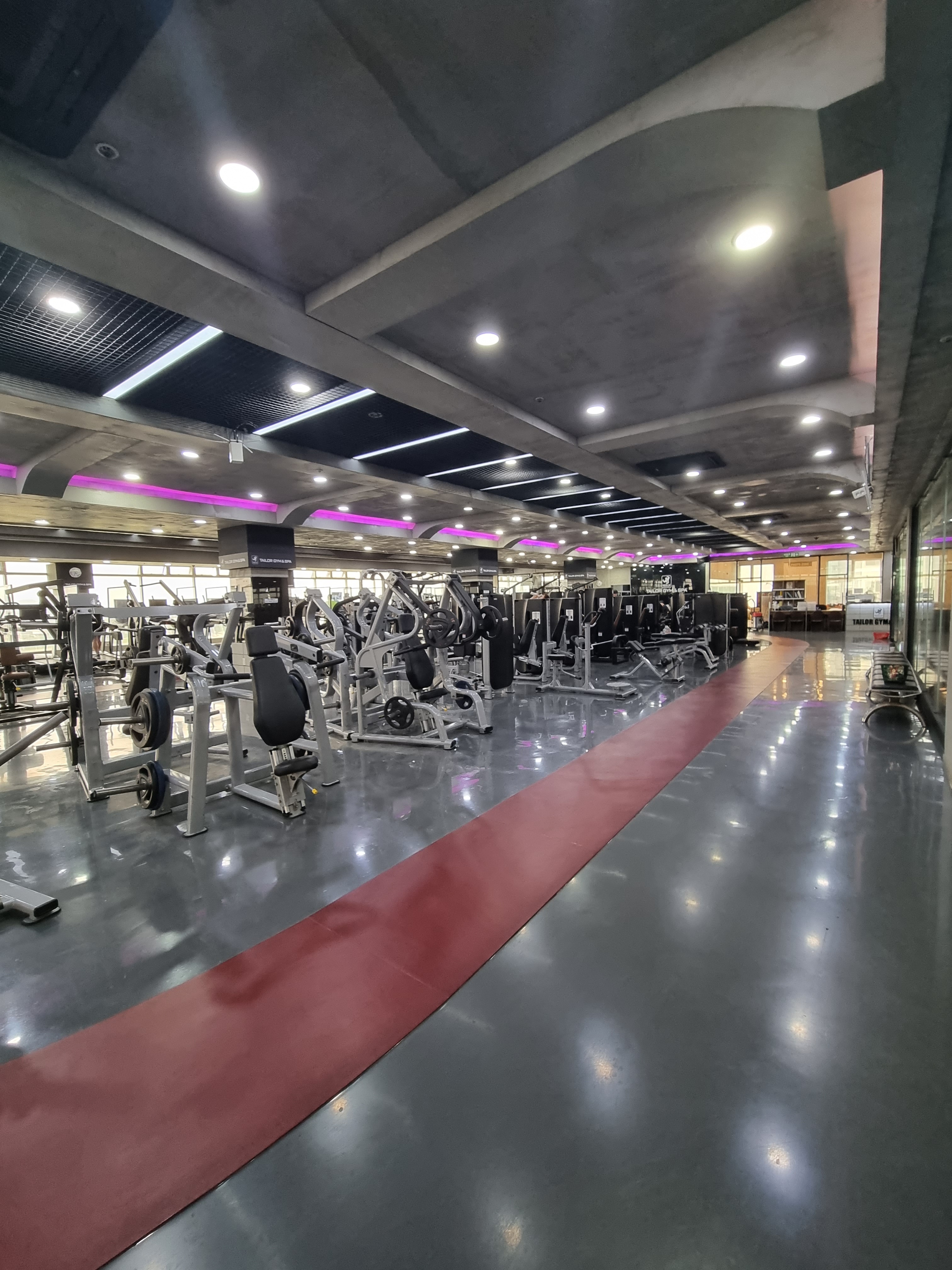 테일러짐 앤 스파 하양점 대표 이미지