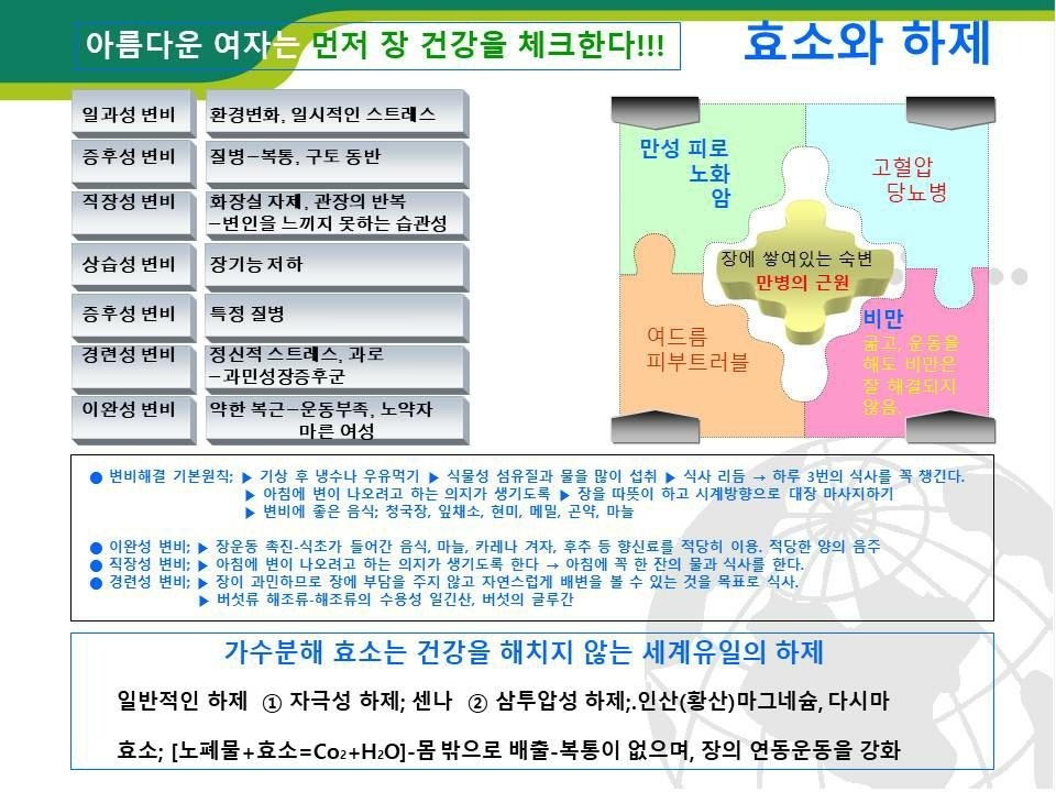 시연 에스테틱
