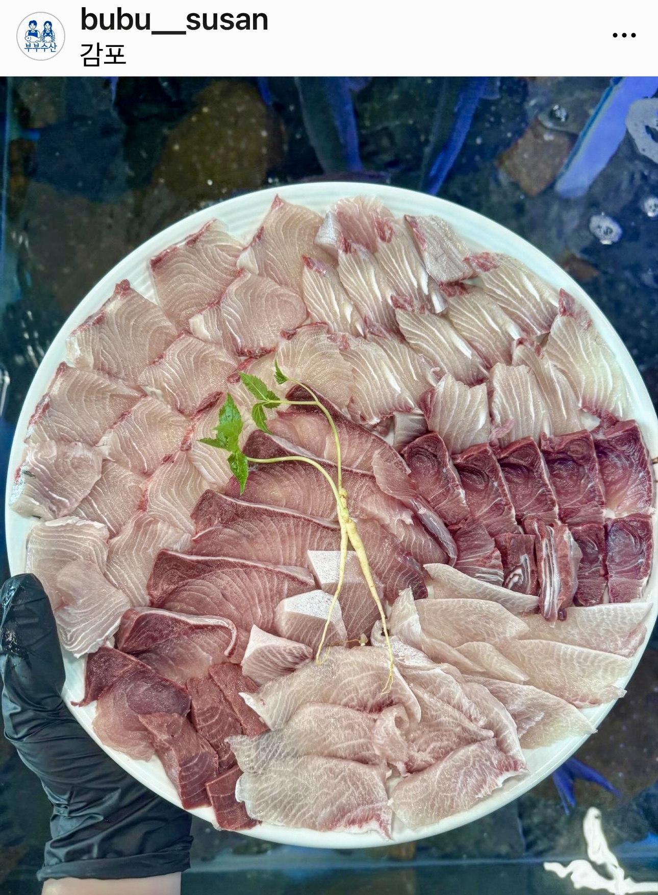 부부수산