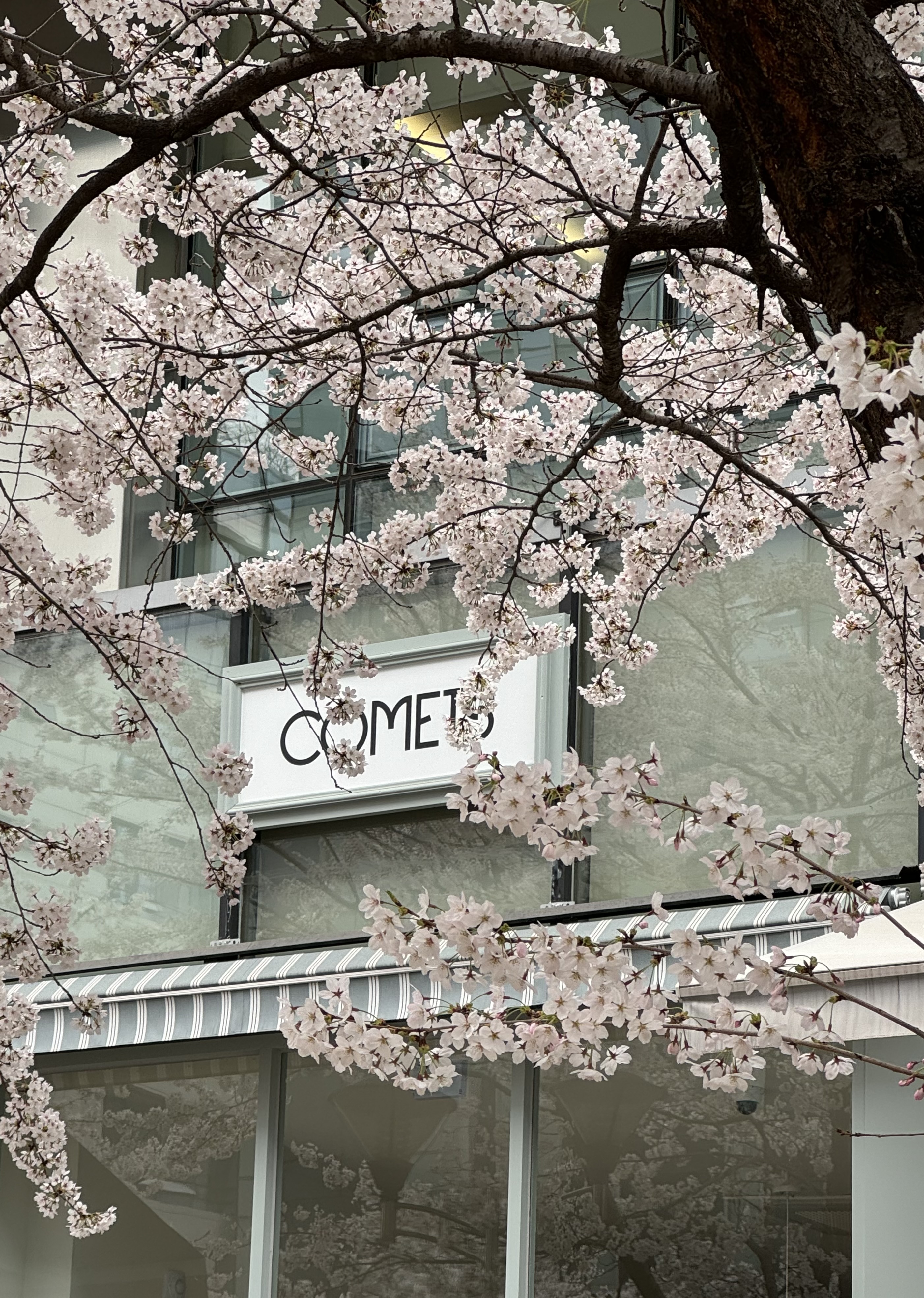 코멧츠