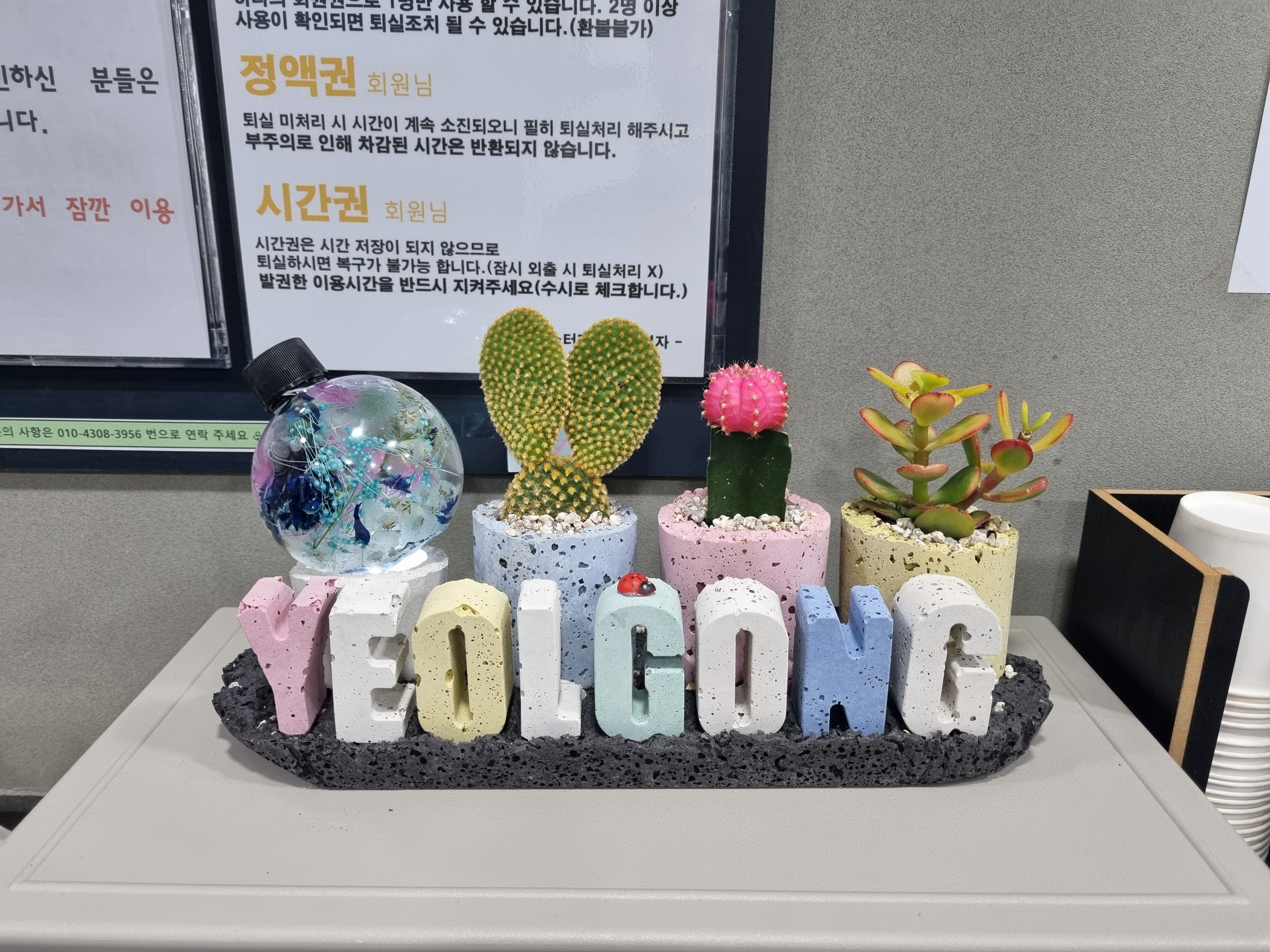 업체사진