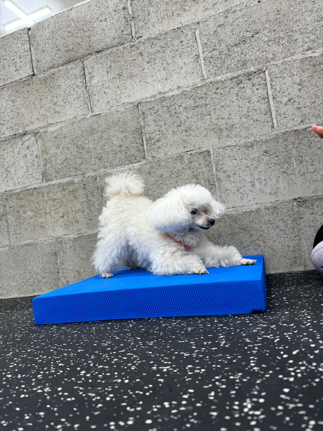 멍핏스튜디오 대표 이미지