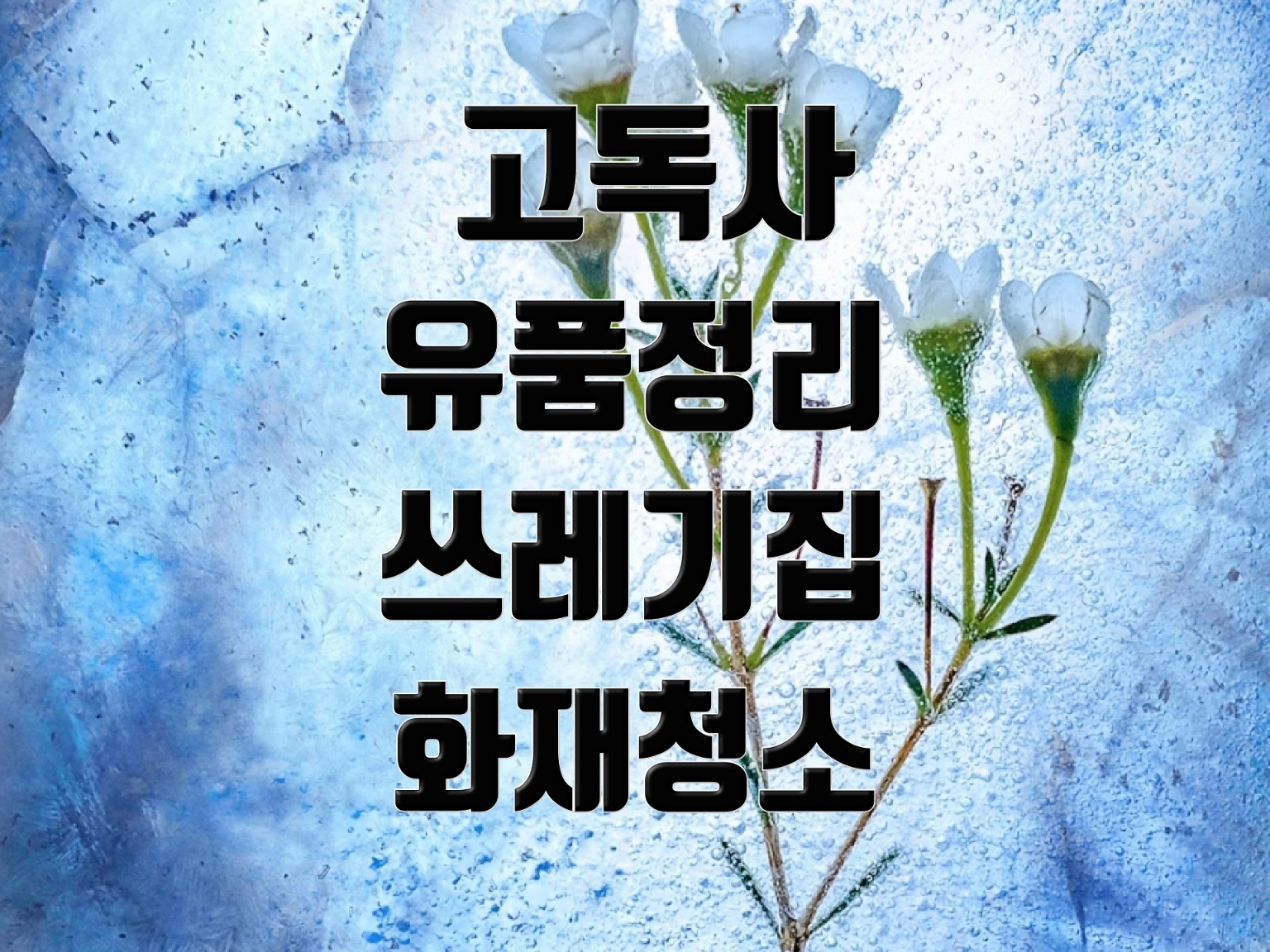 특수청소