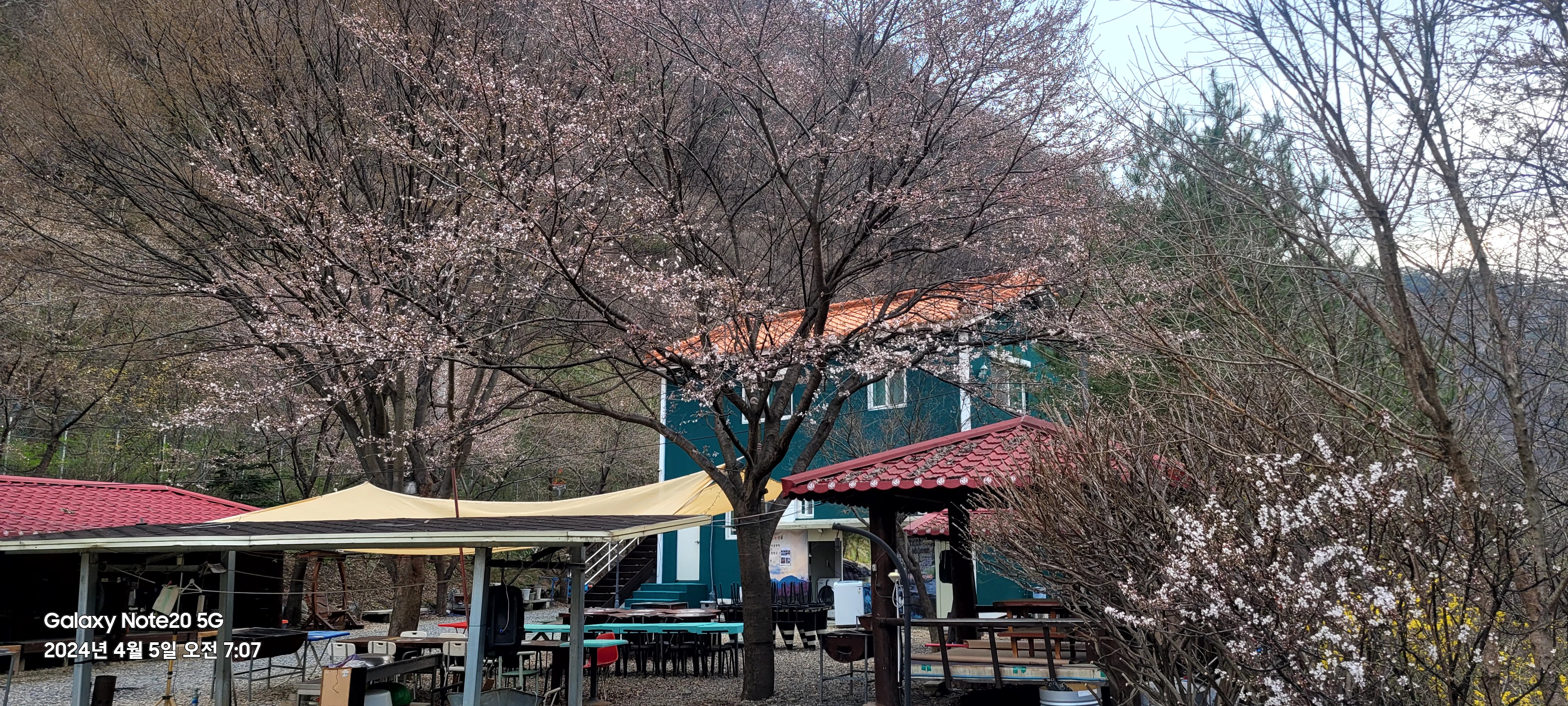 월악산 꽃피는산골 민박펜션