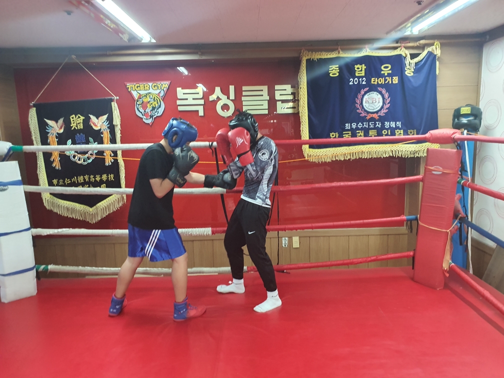 교하타이거짐복싱클럽
