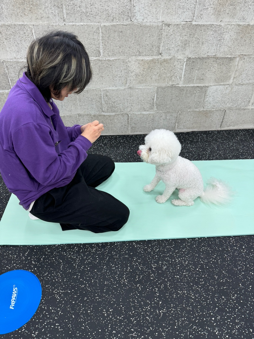 멍핏스튜디오 대표 이미지