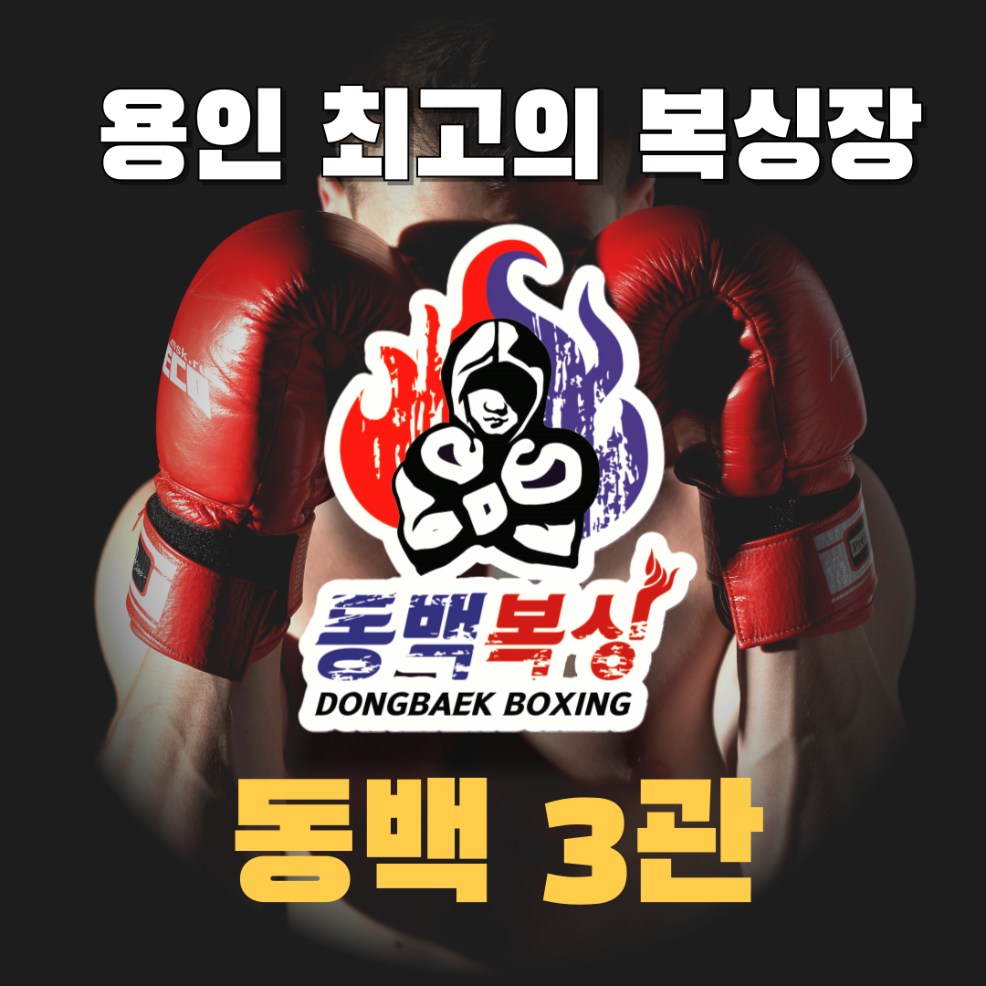 경기도 용인시 기흥구 복싱체육관 동백복싱클럽 내부 모습 2