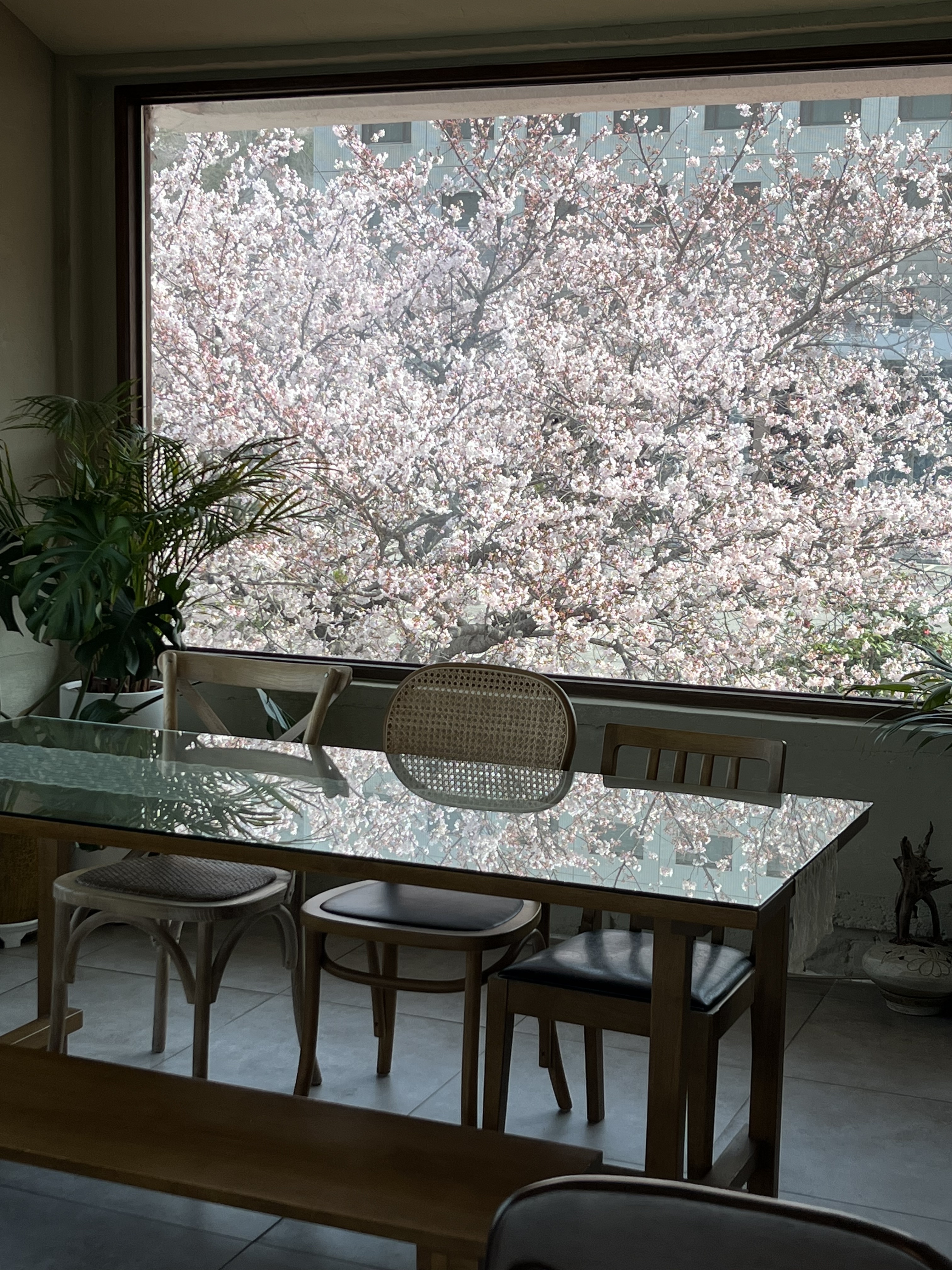 나리옥 대표 이미지