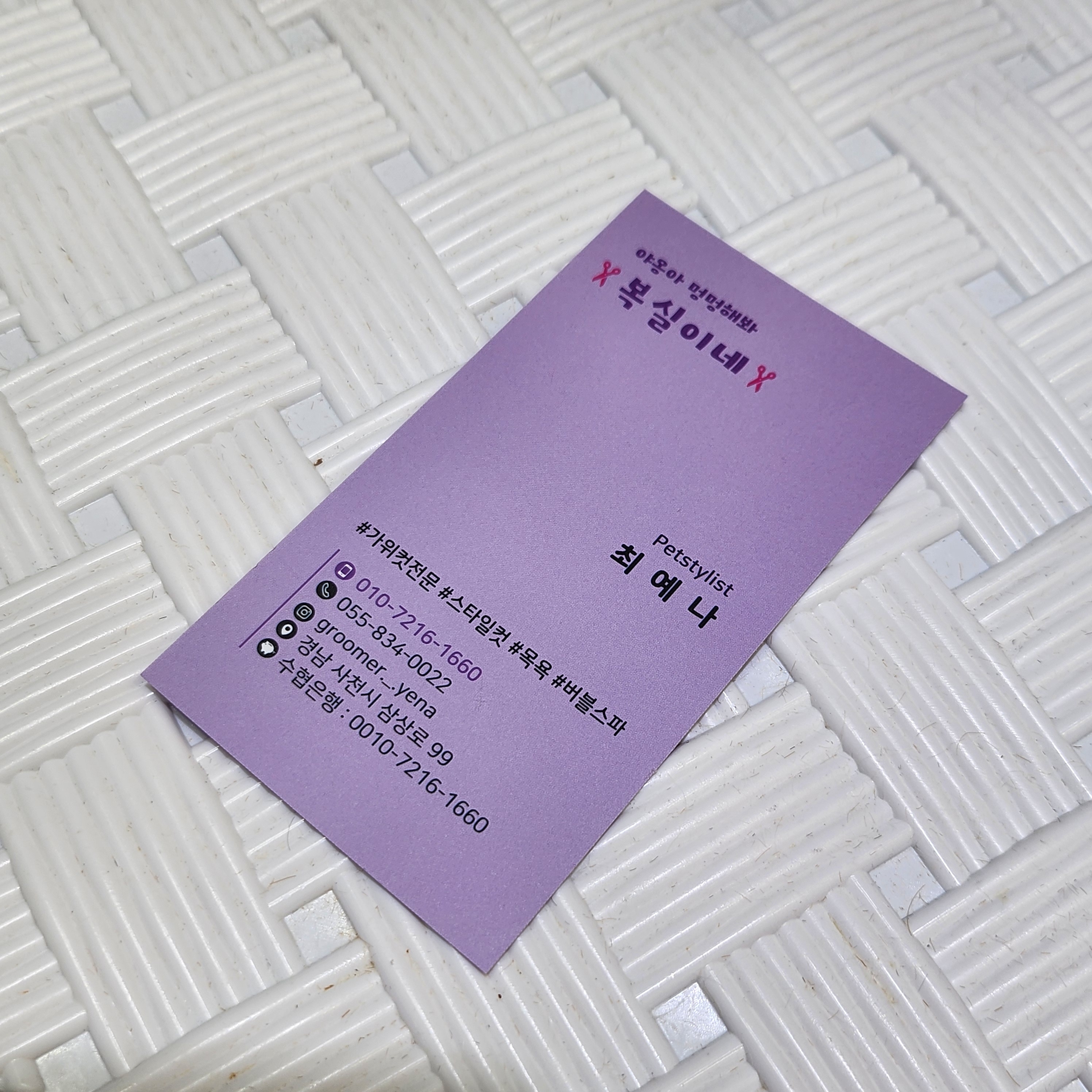 야옹아 멍멍해봐 복실이네 대표 이미지