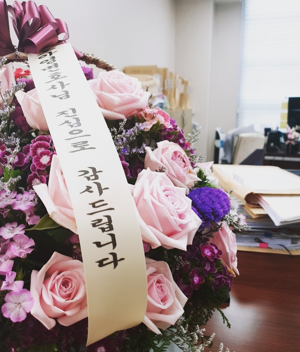 법률사무소 로아시스 이혼전문 오아영 변호사 대표 이미지