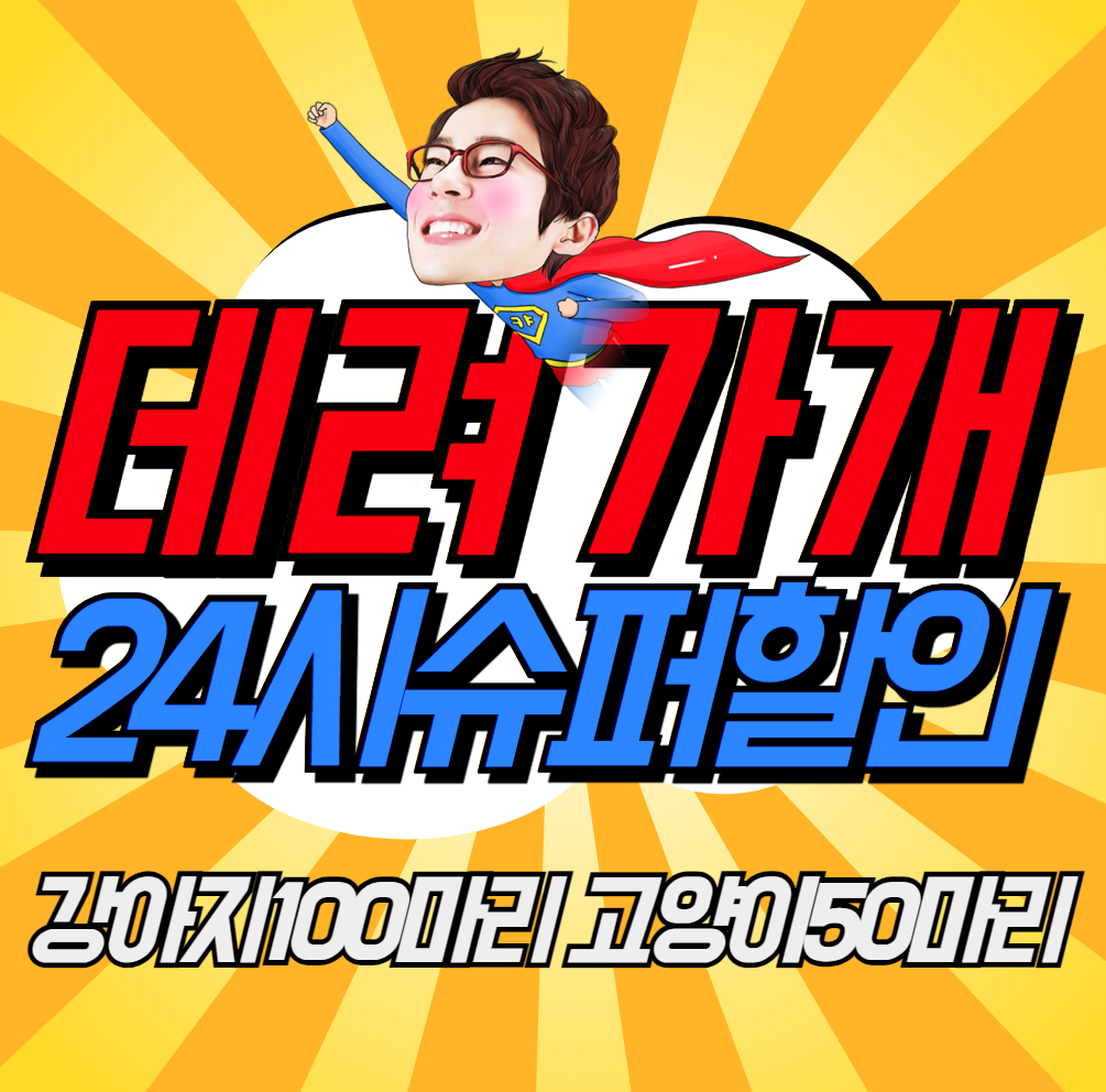 부천강아지분양 고양이분양 24시 데려가개 부천점