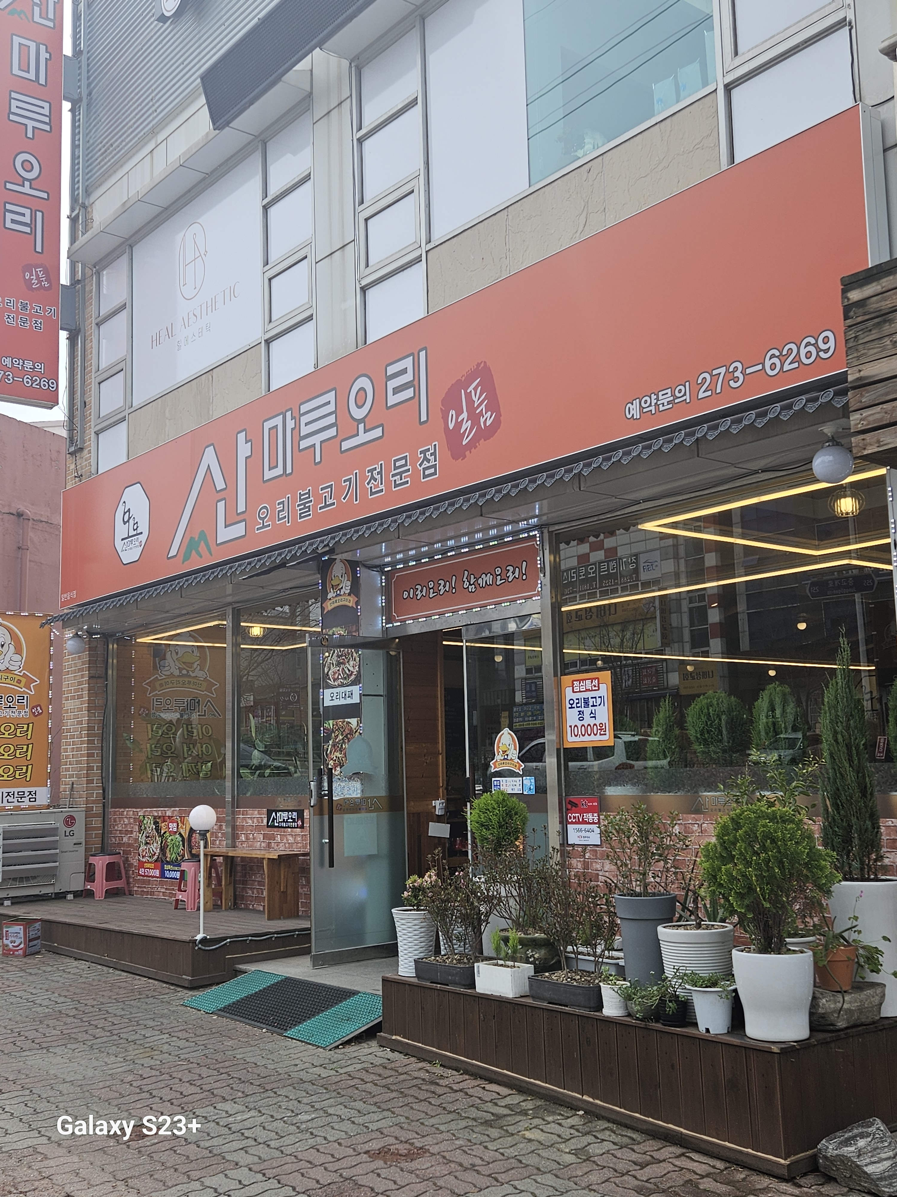 산마루오리 금천본점