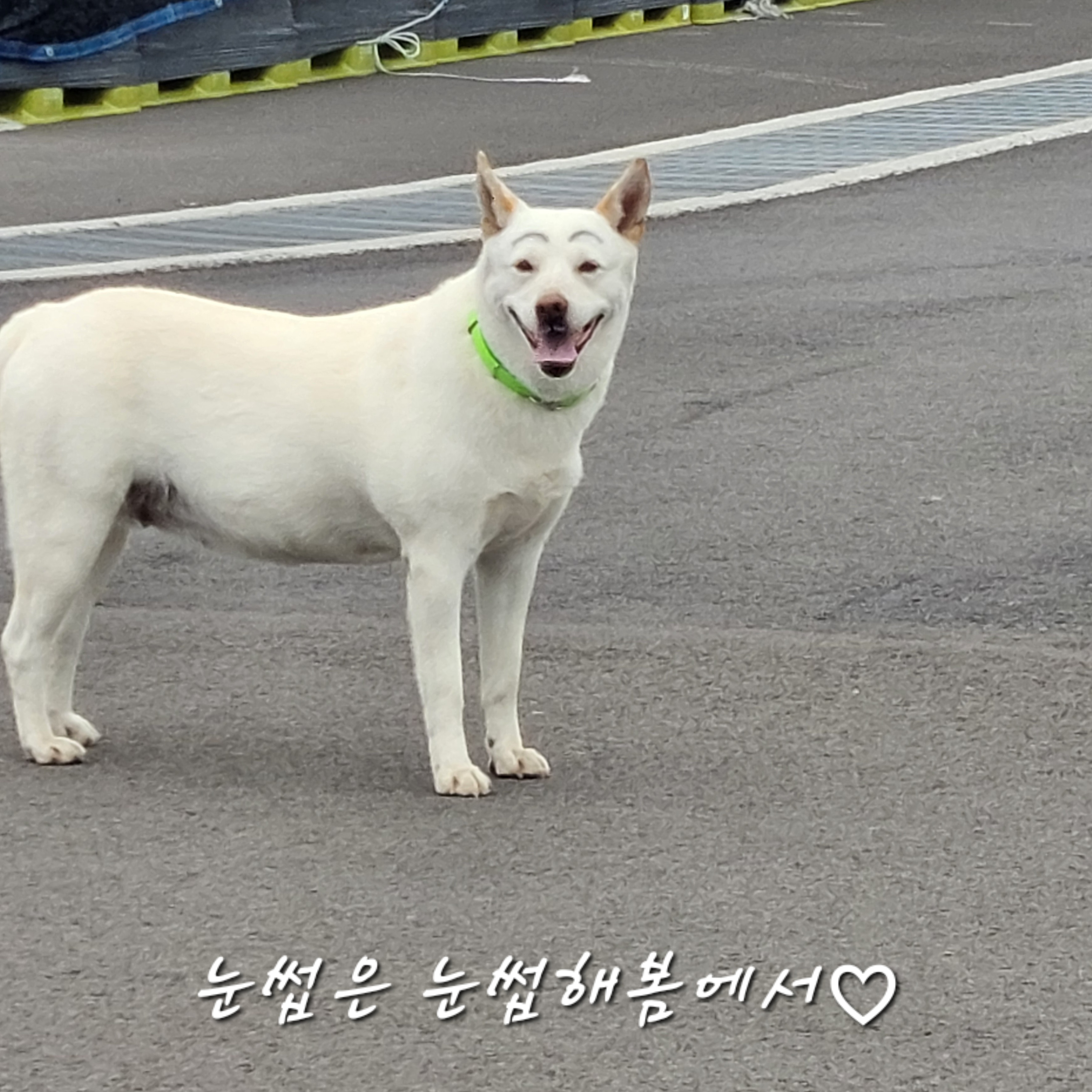 눈썹해봄