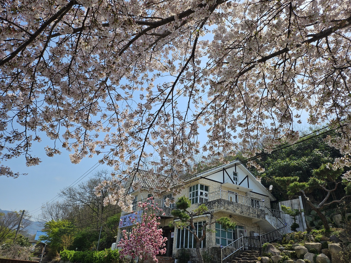 일월이네