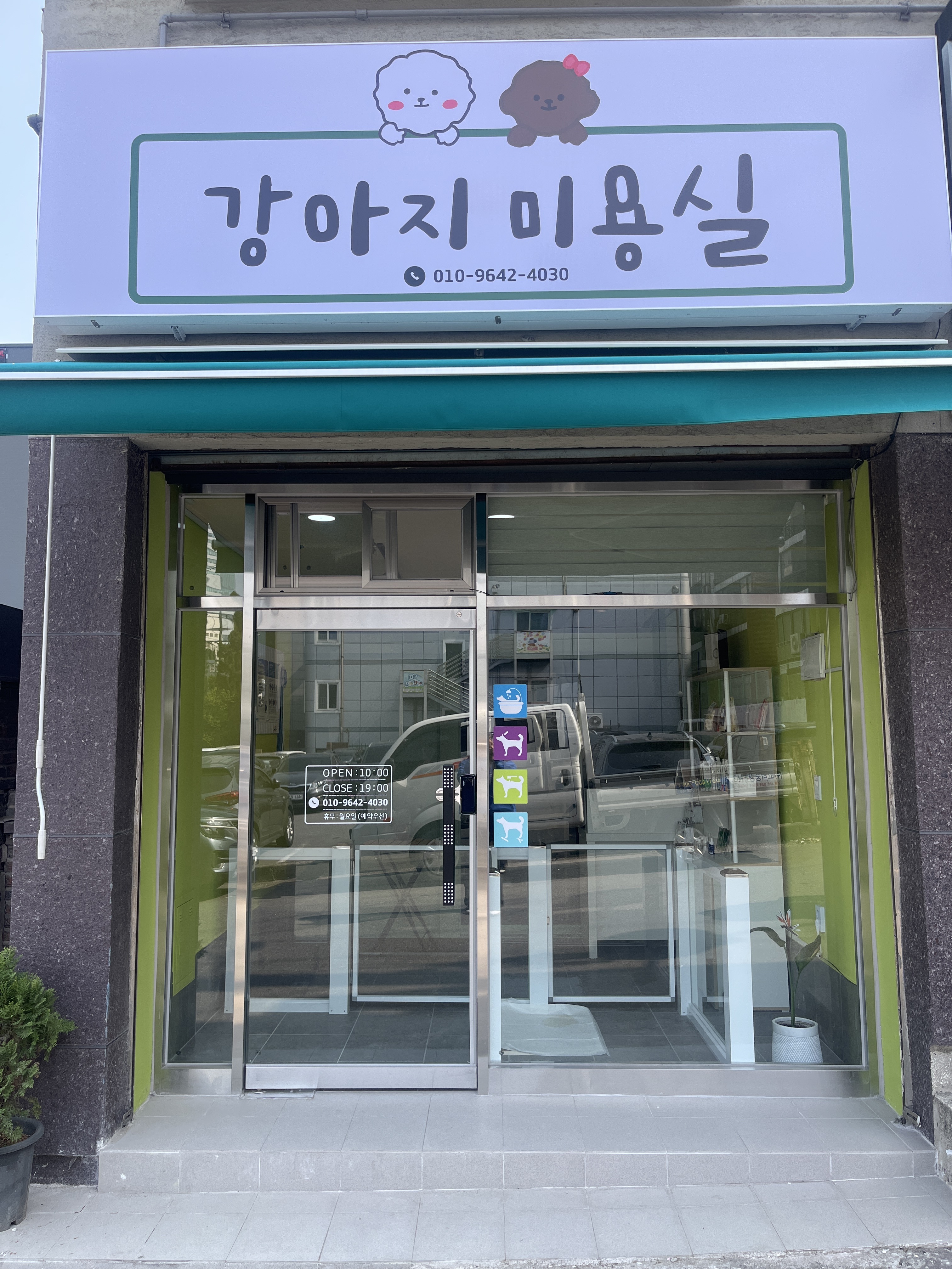 강아지미용실