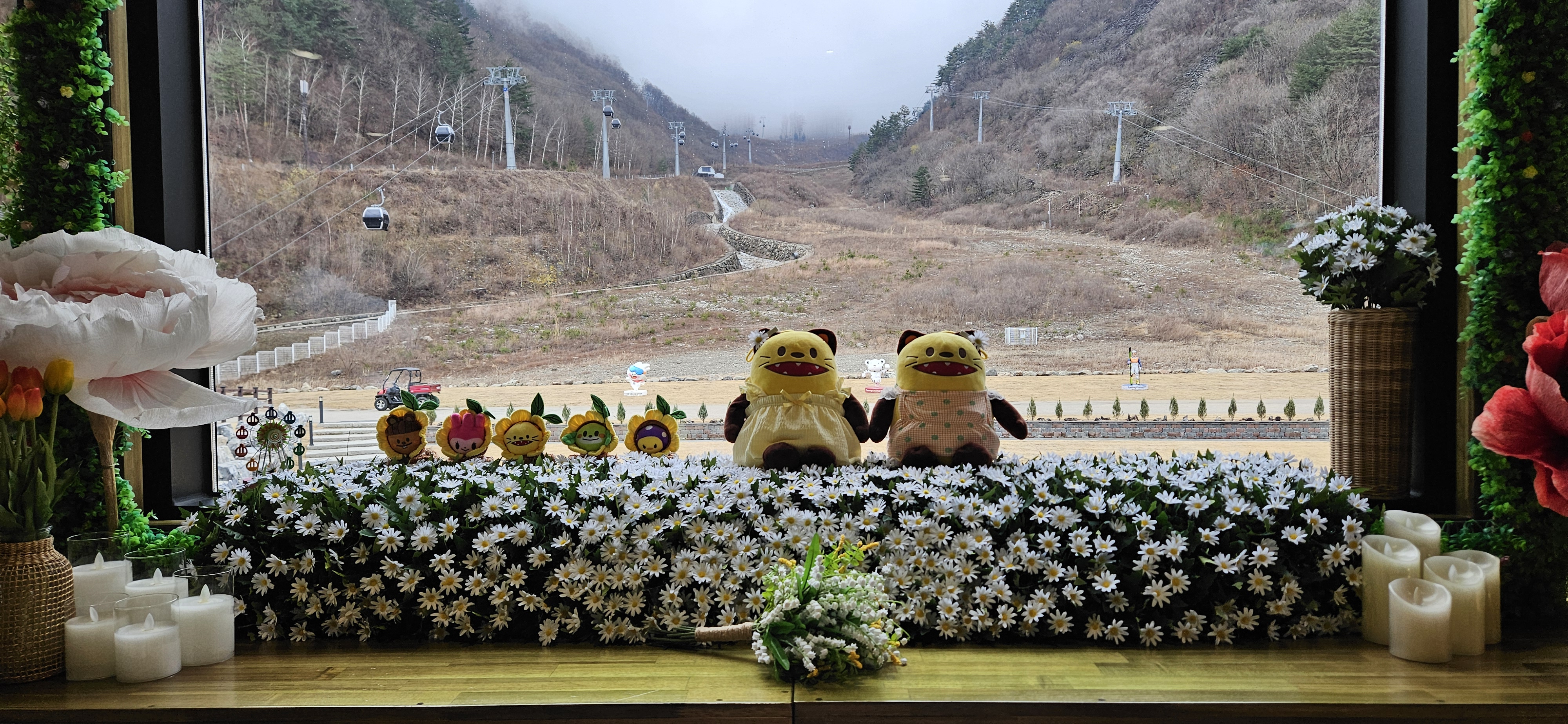가리왕산케이블카일오육일카페