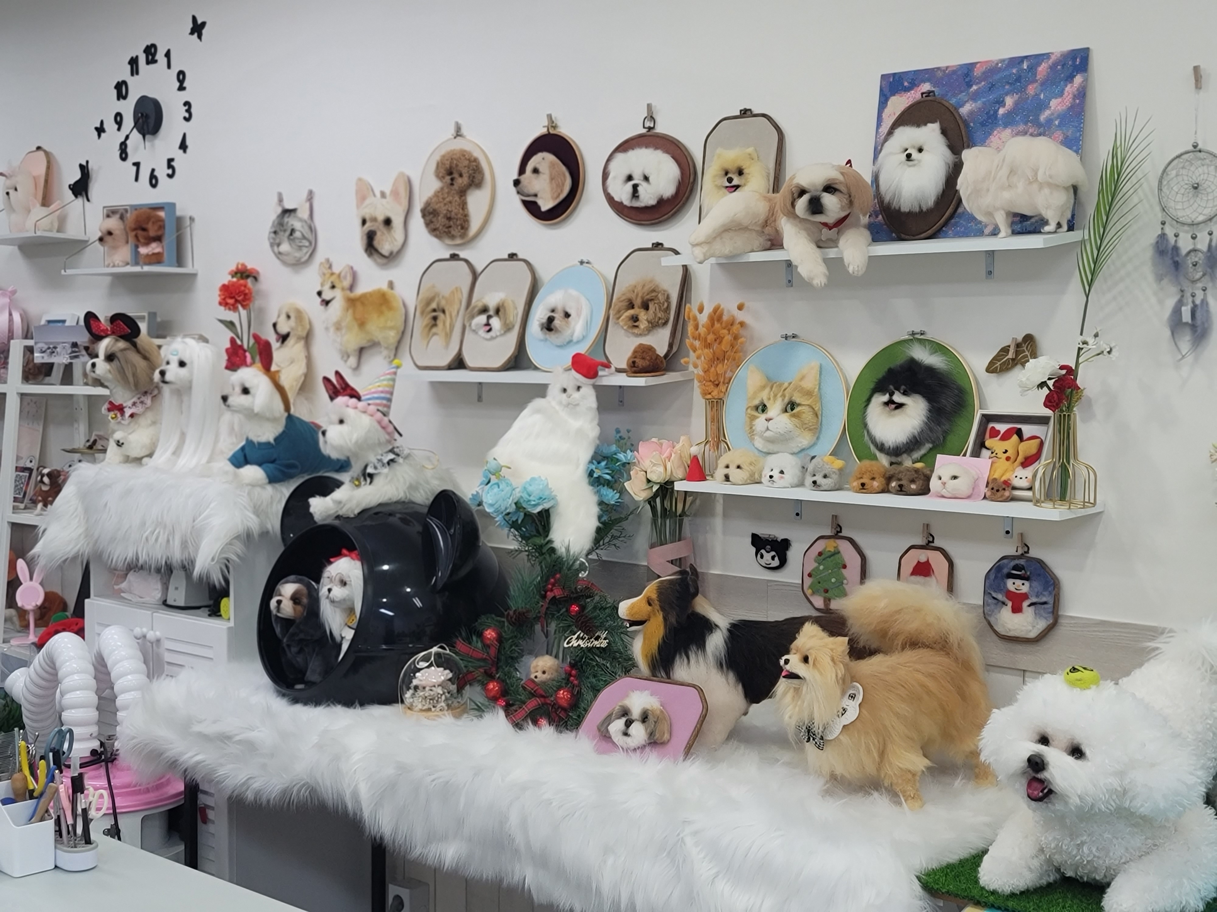 펫인펠트