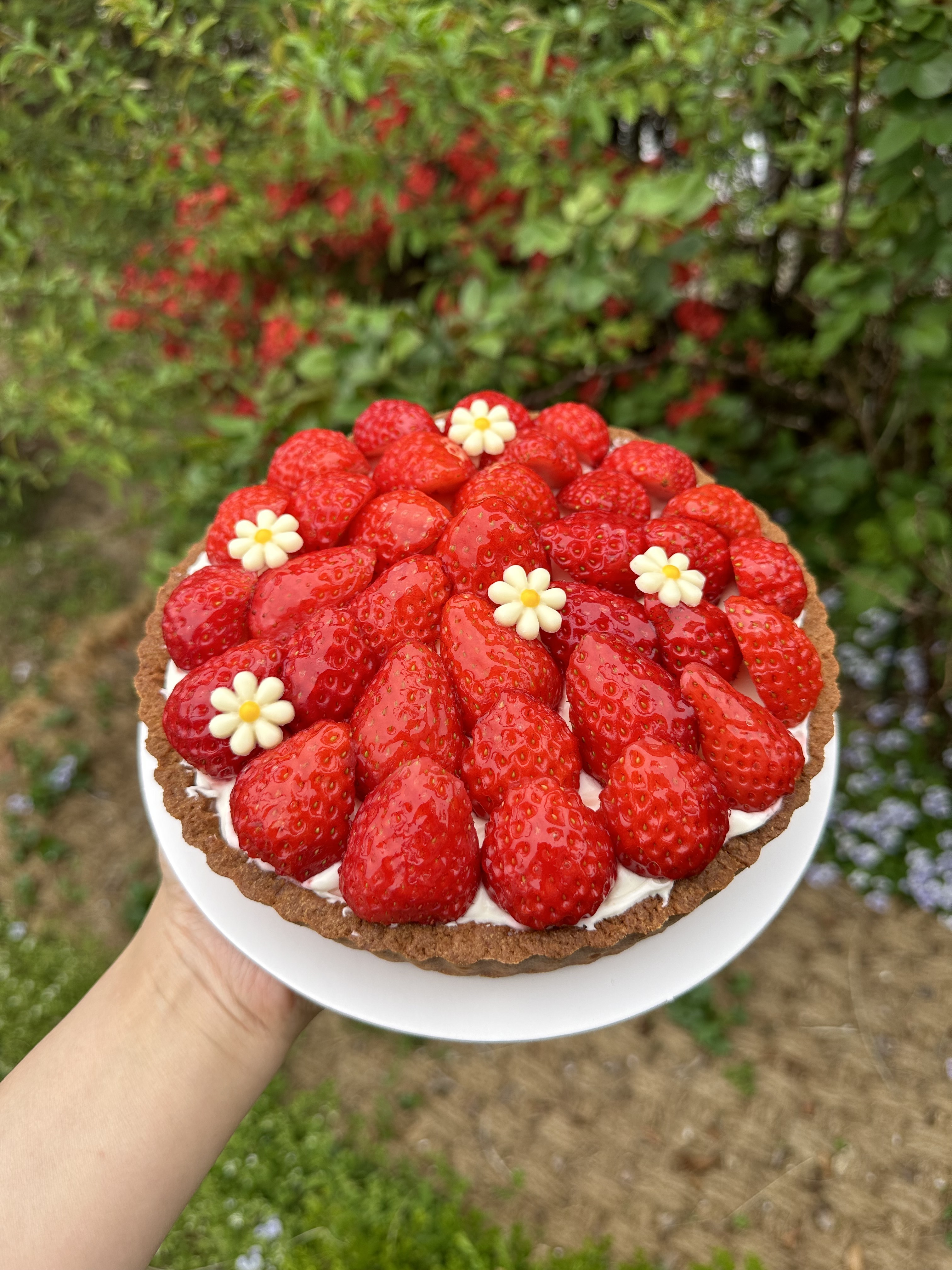 커피하우지