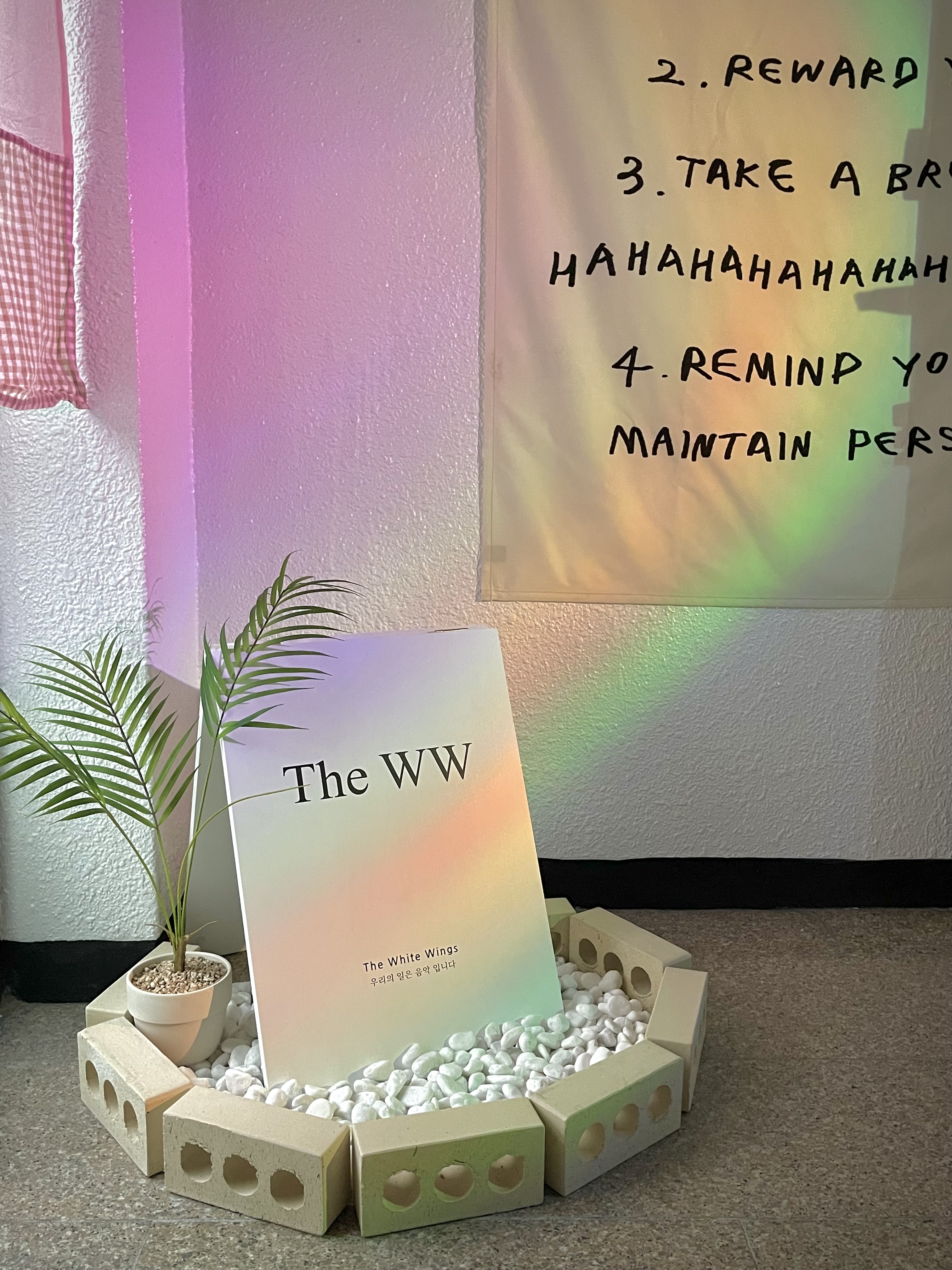 5번째 스튜디오 사진