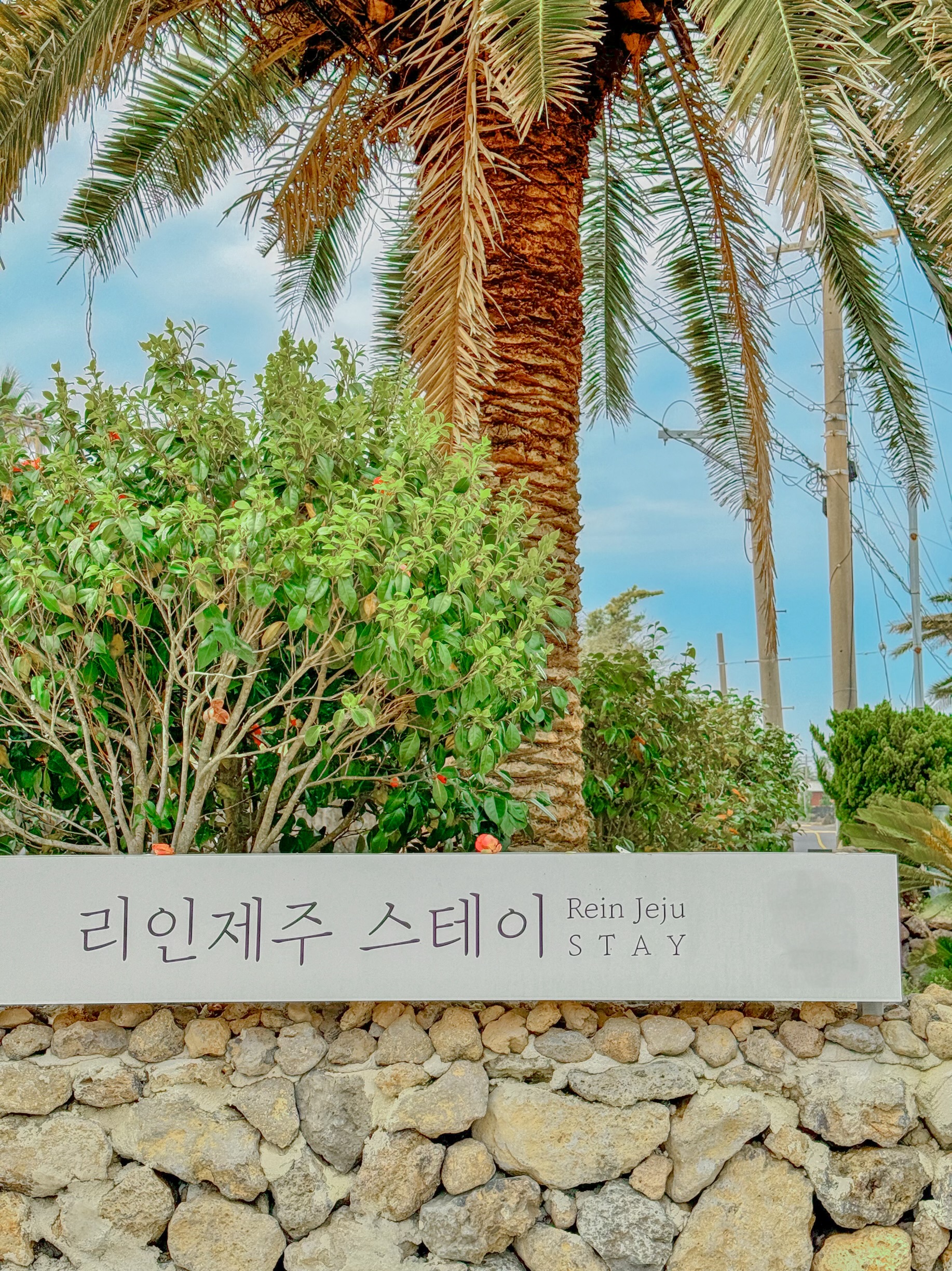 리인제주
