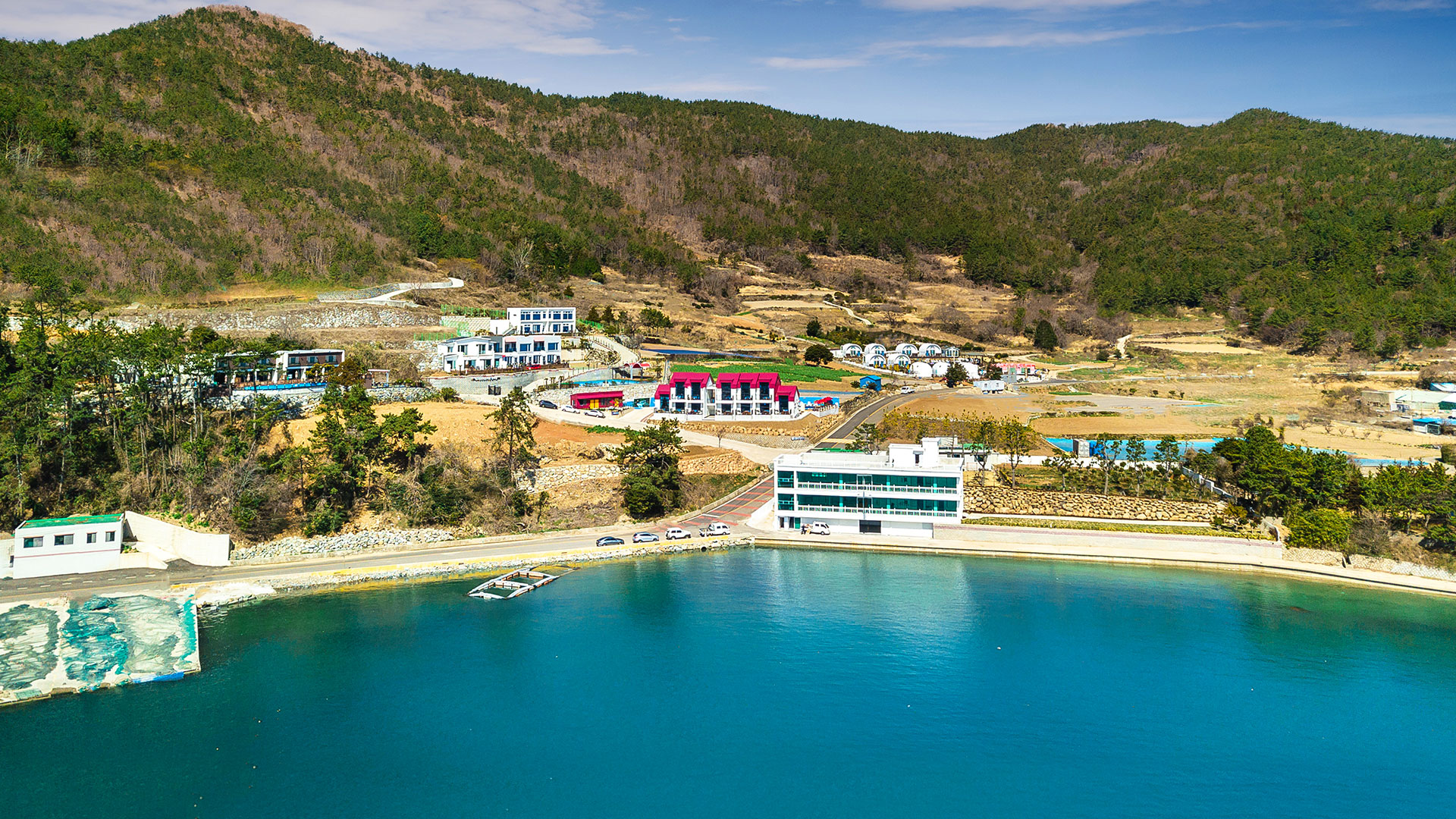 여수나폴리하우스펜션 반려동물 동반 애견카페