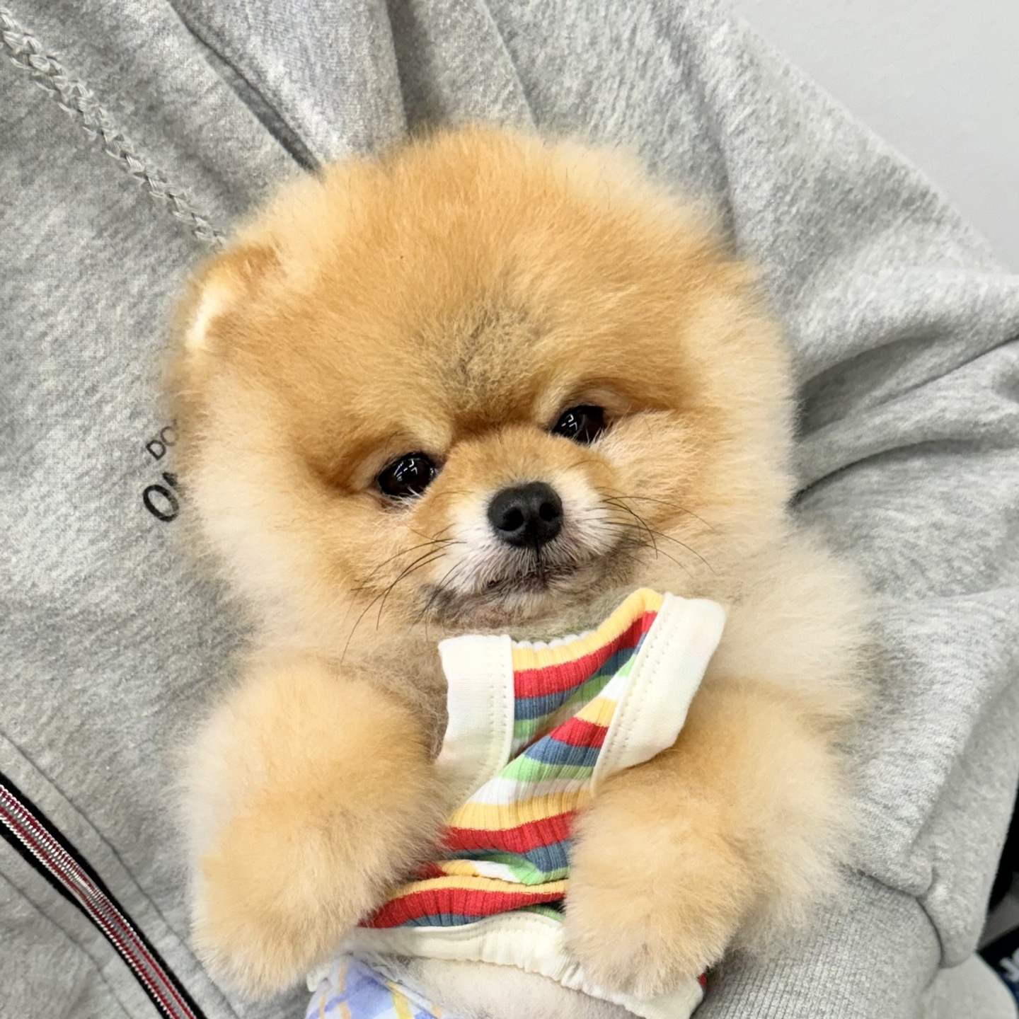 야옹아멍멍해봐 당진시곡점