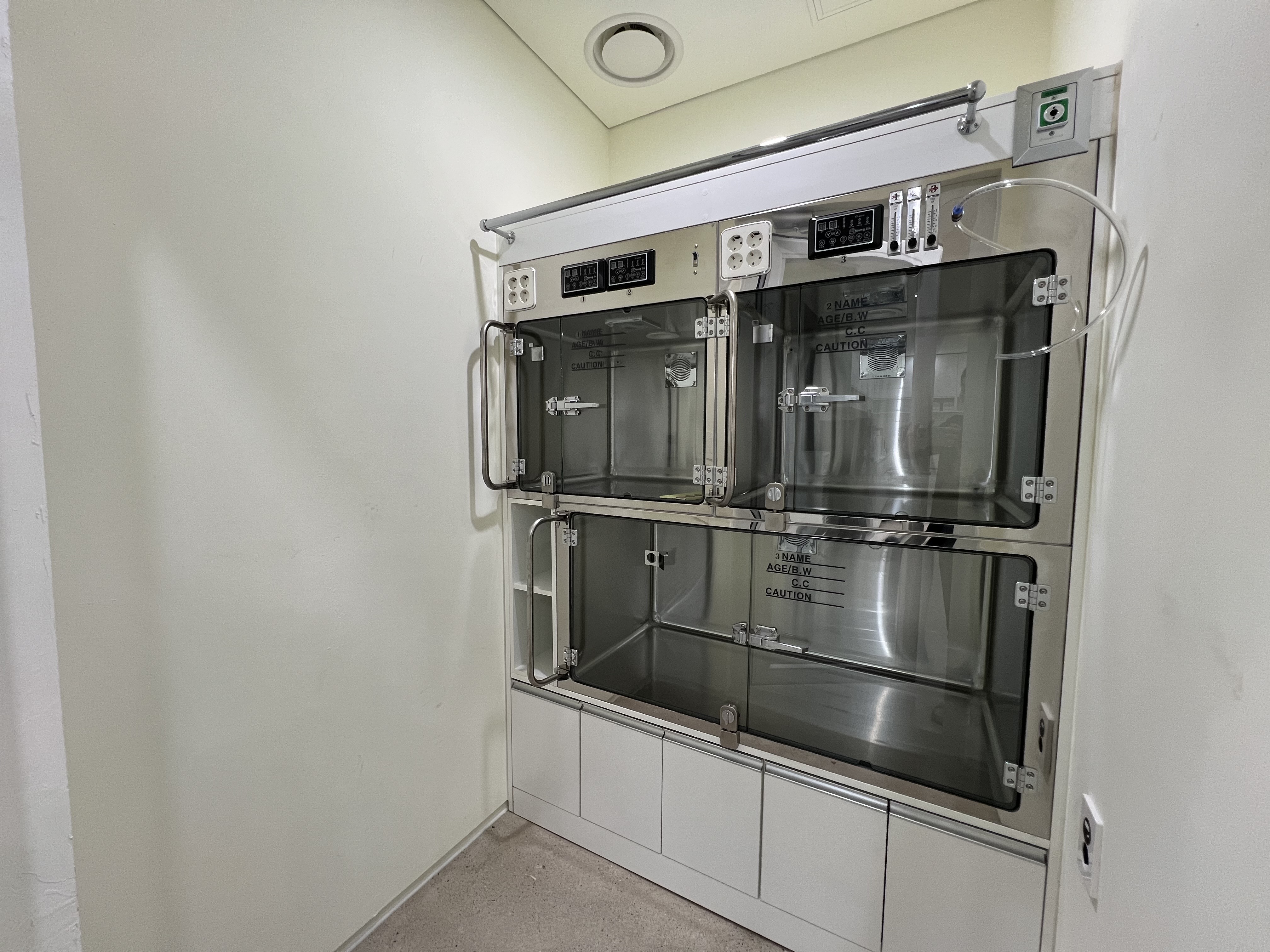 다솜동물메디컬센터 금정점 대표 이미지