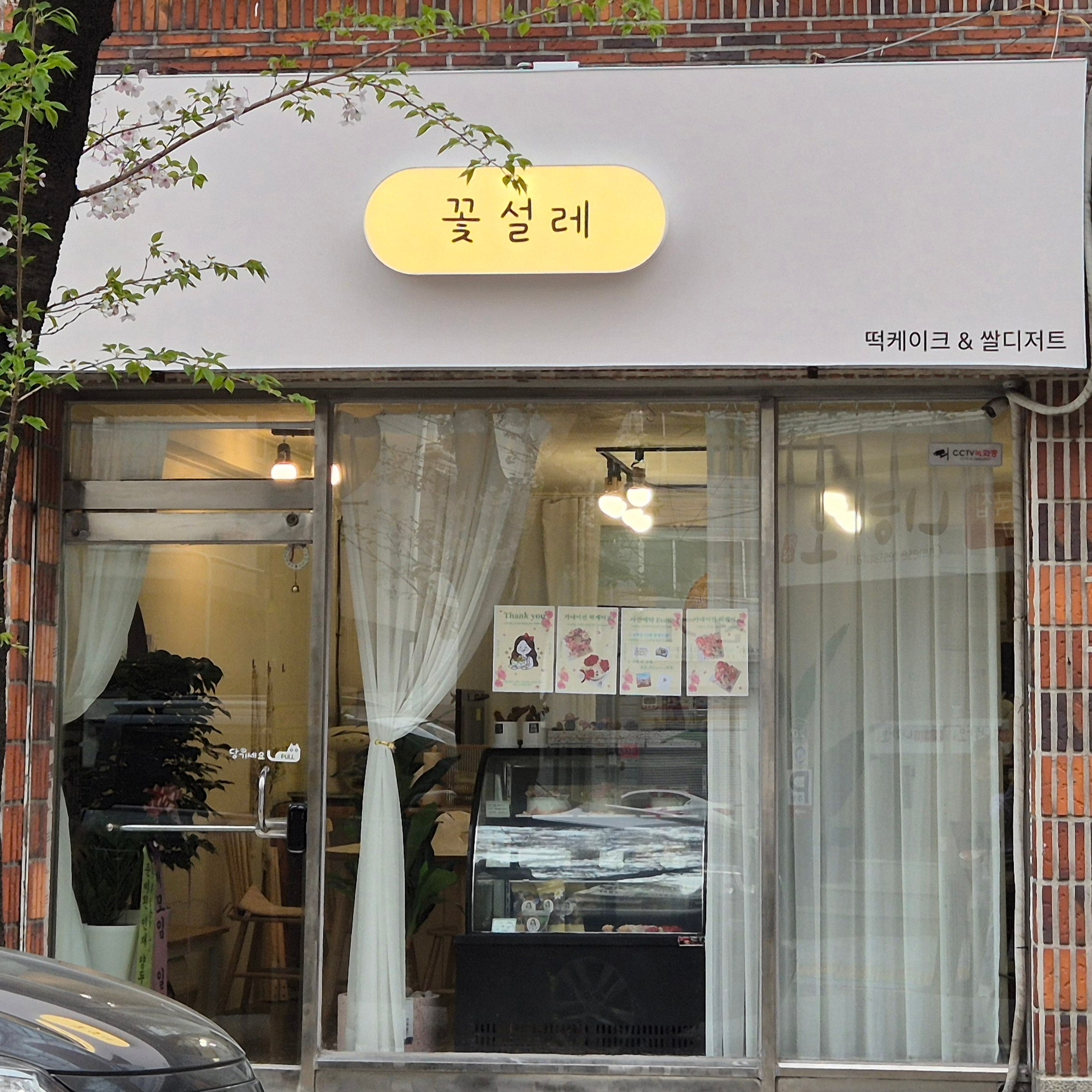 꽃설레