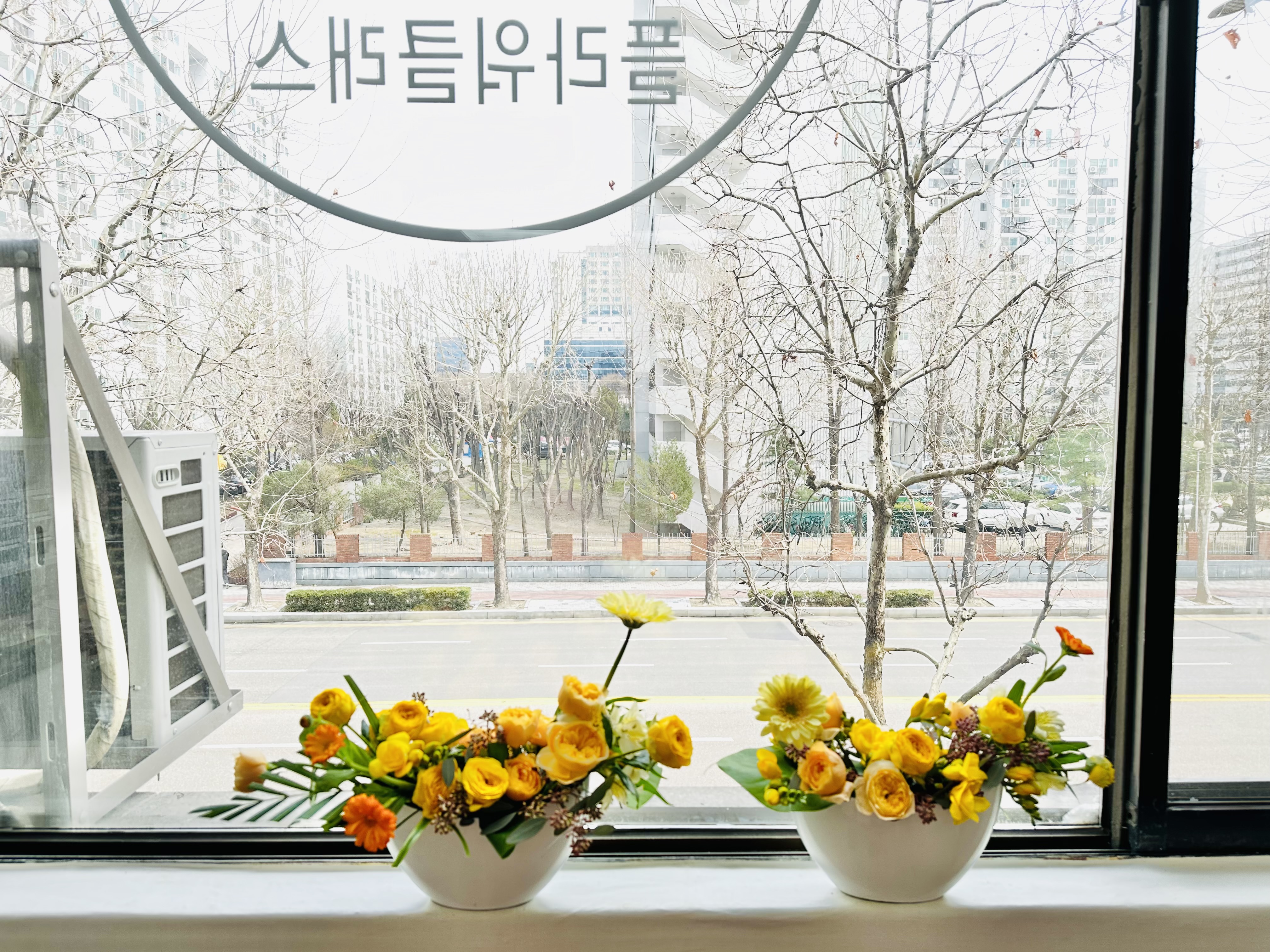 라라키즈가든플라워스쿨 안양교육원