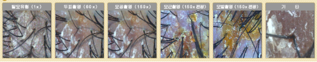 밴스케어 대표 이미지