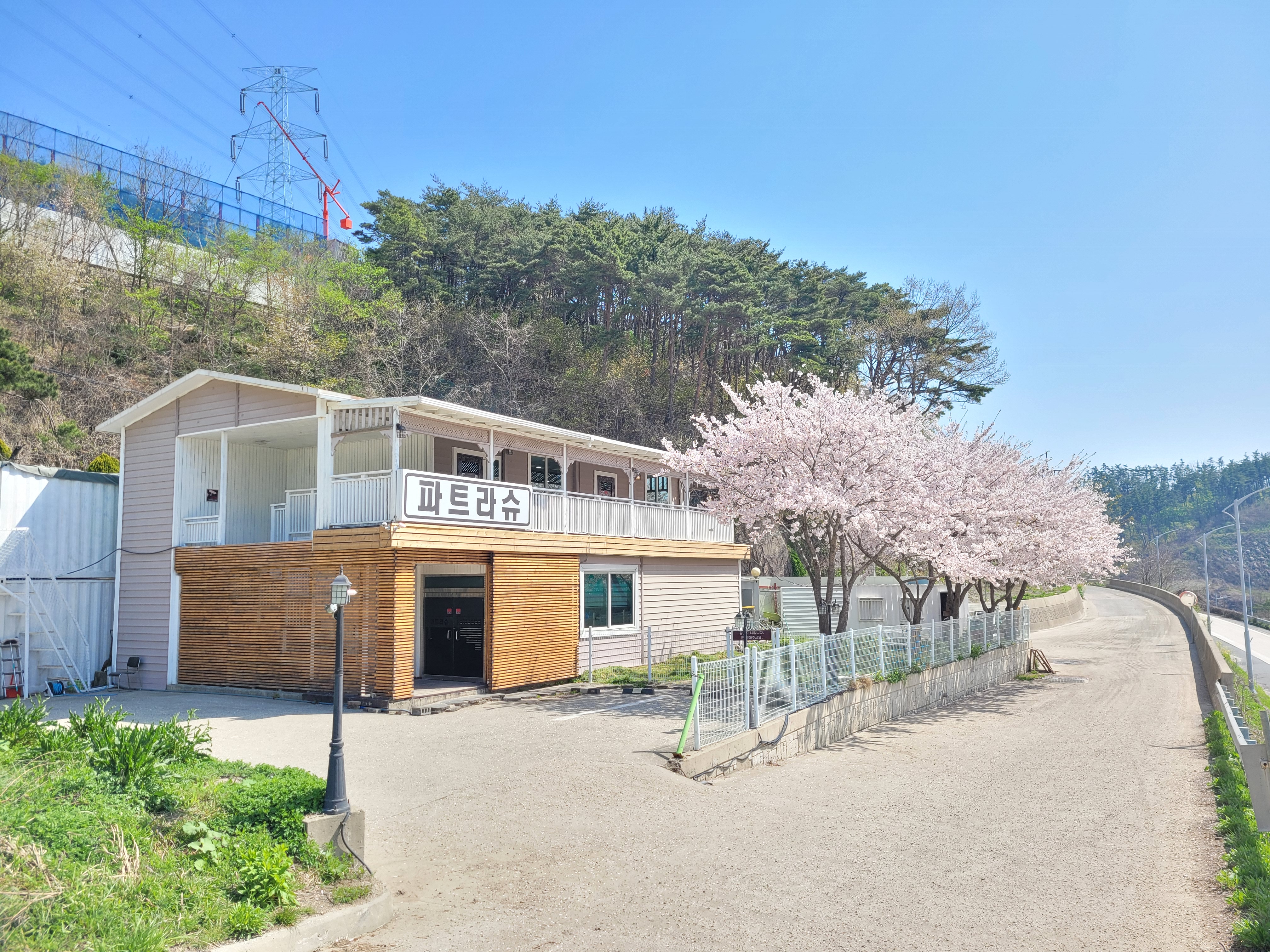 파트라슈