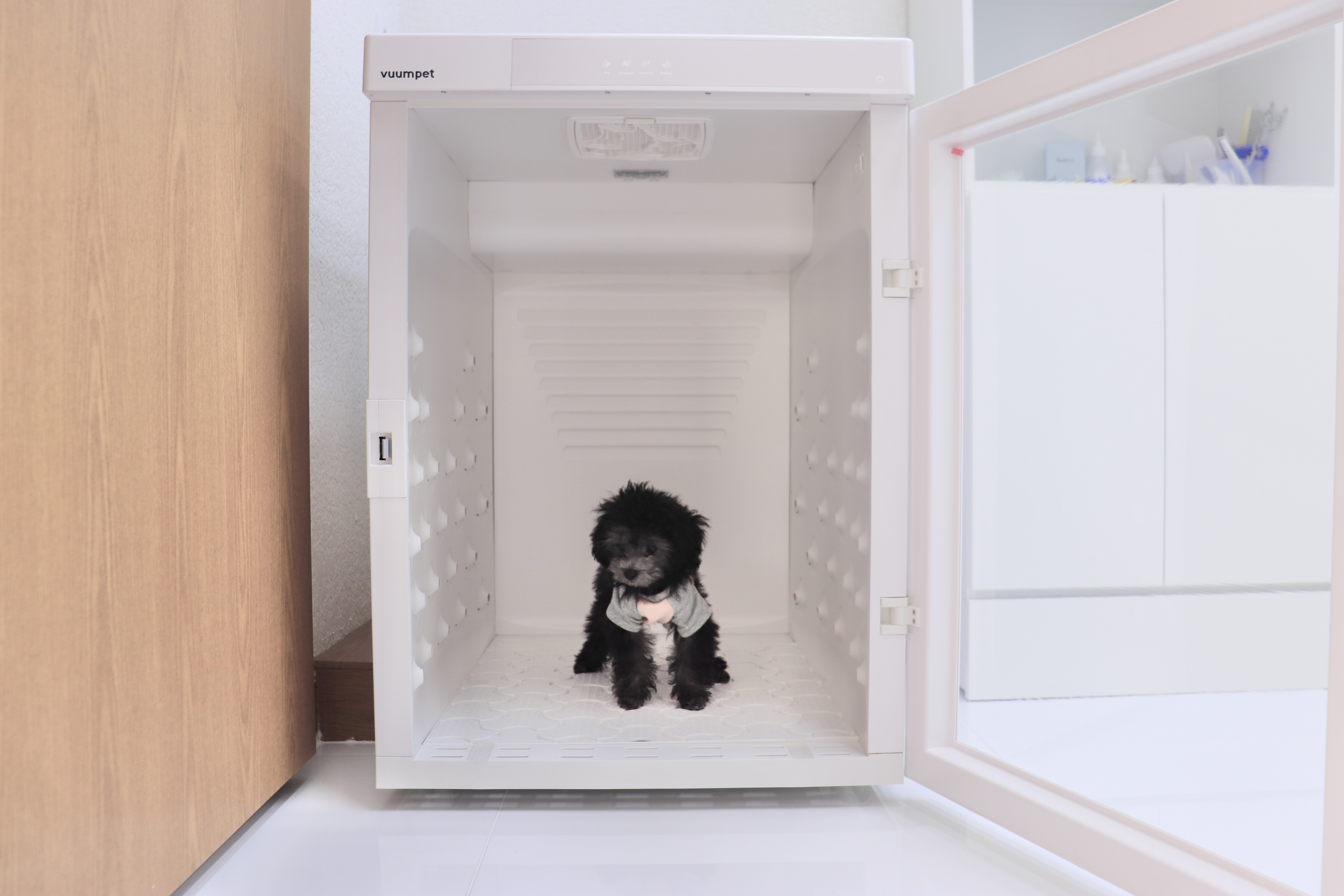 와리가리 애견호텔 대표 이미지