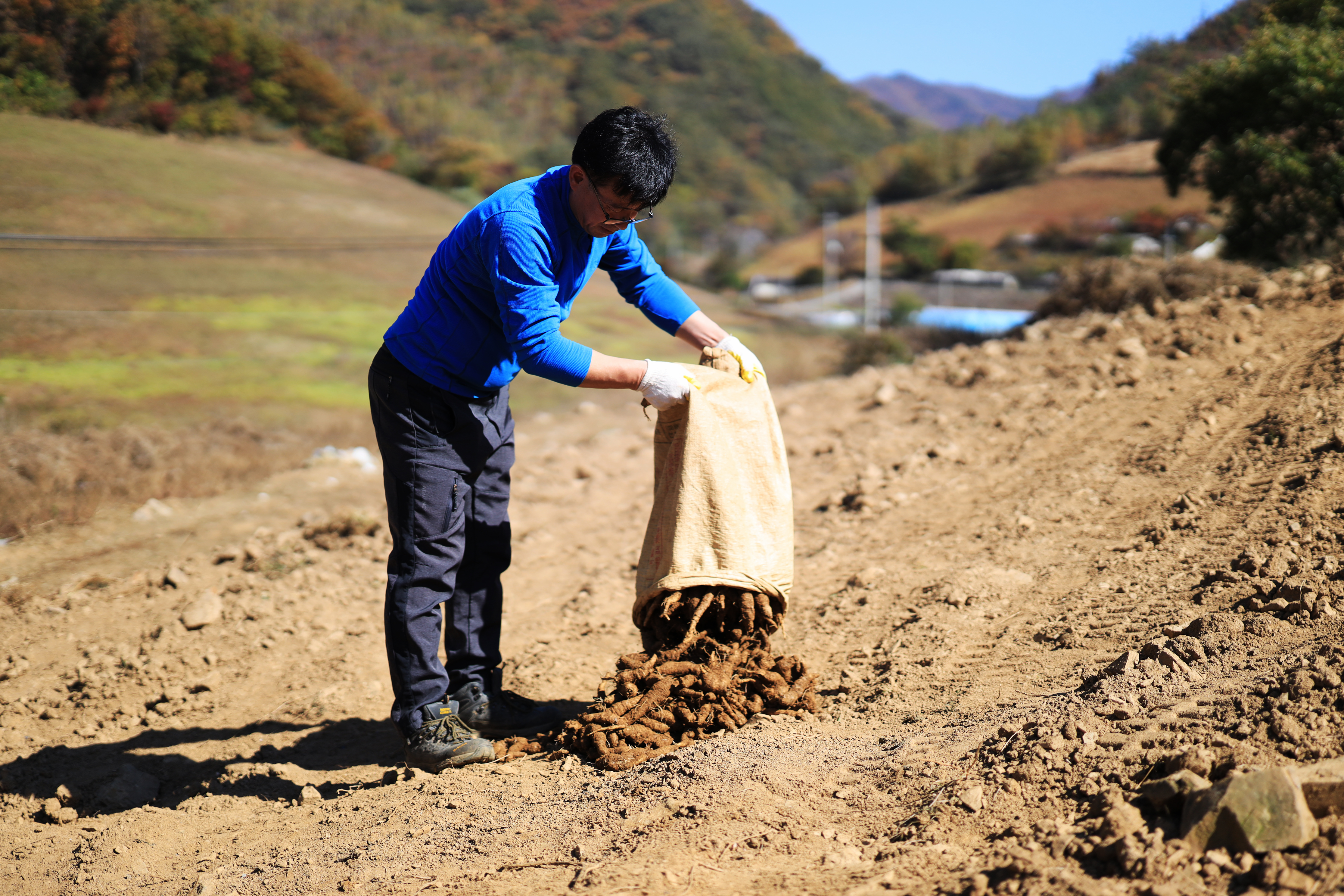 아리랑식품영농조합법인